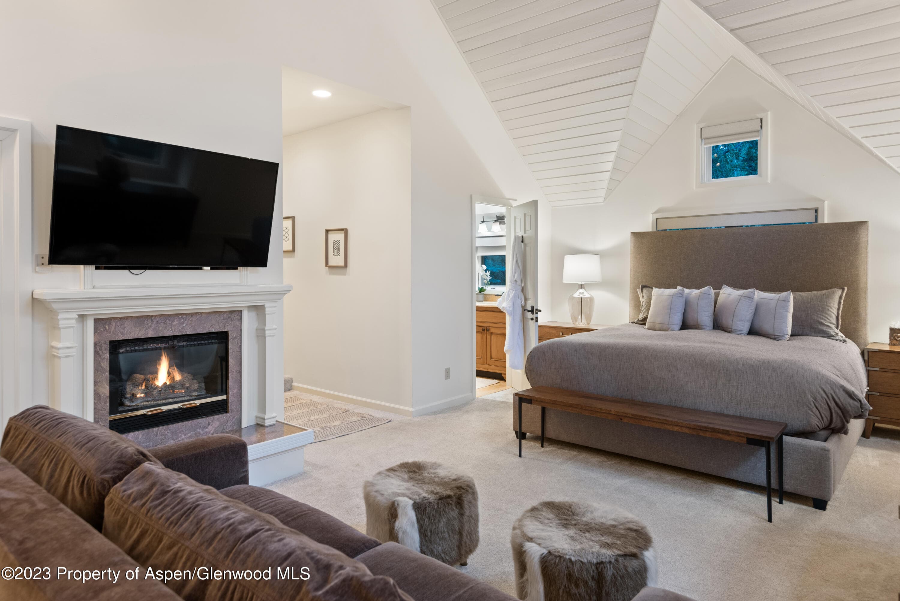 901 Ute Avenue, Aspen, CO 81611 - Photo 24
