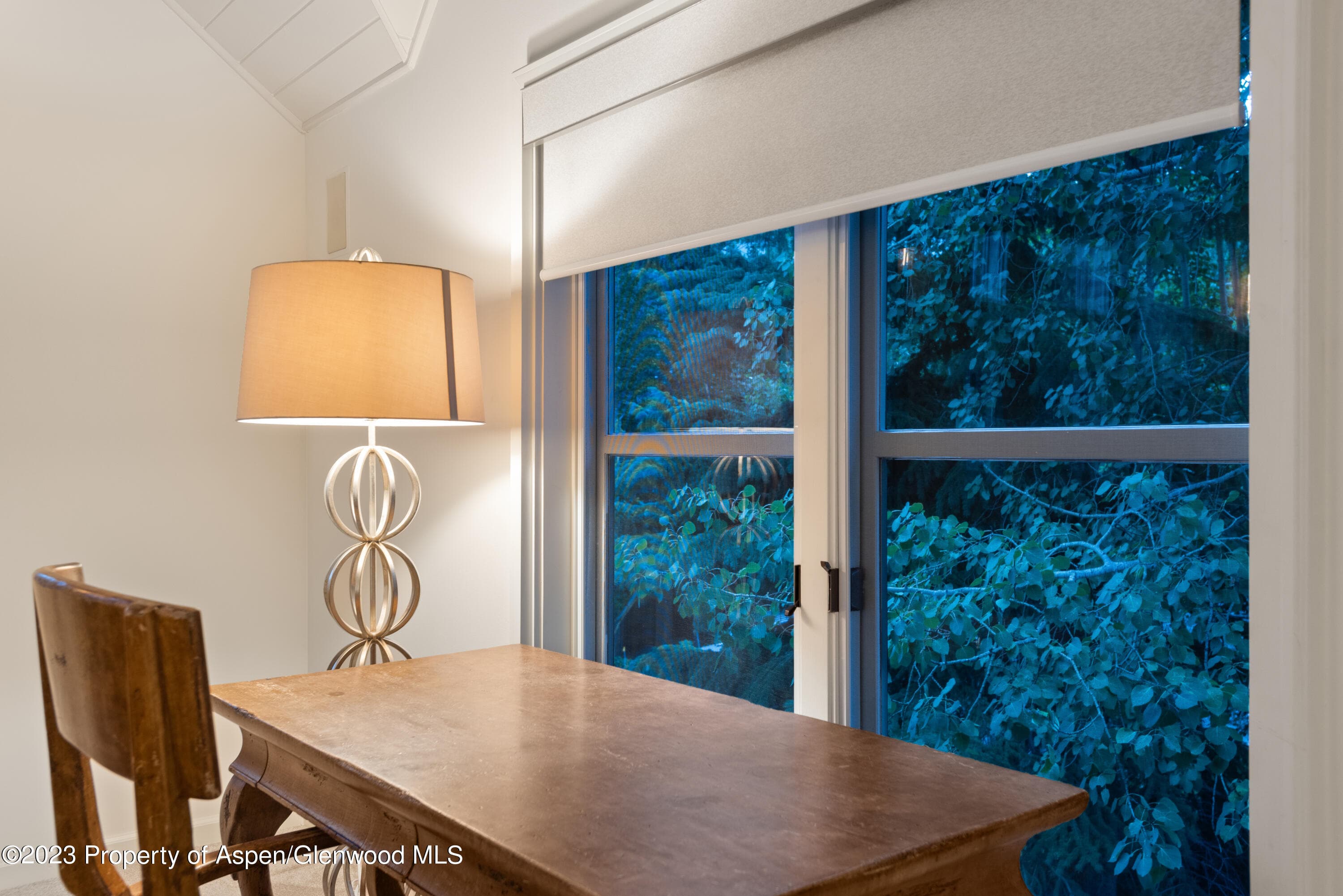 901 Ute Avenue, Aspen, CO 81611 - Photo 29