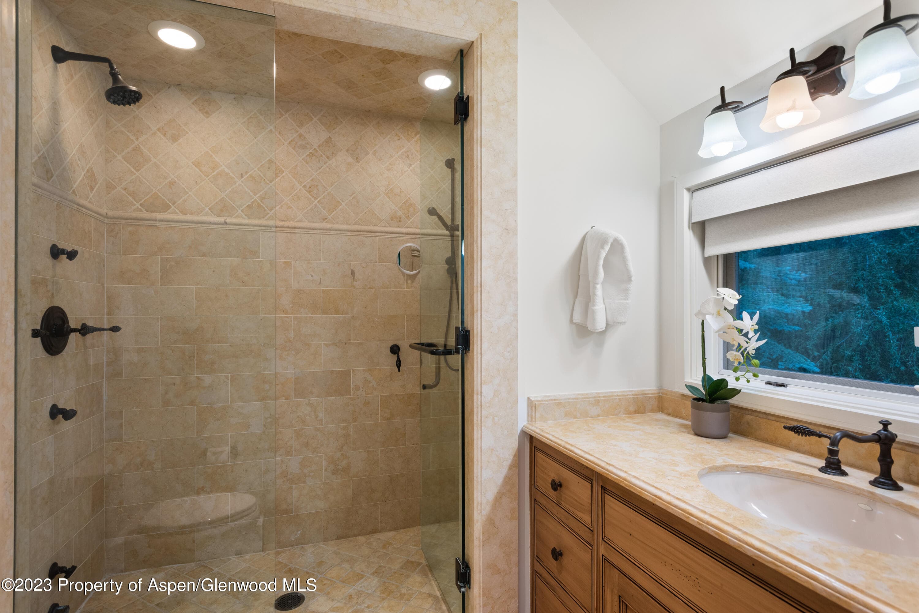 901 Ute Avenue, Aspen, CO 81611 - Photo 39