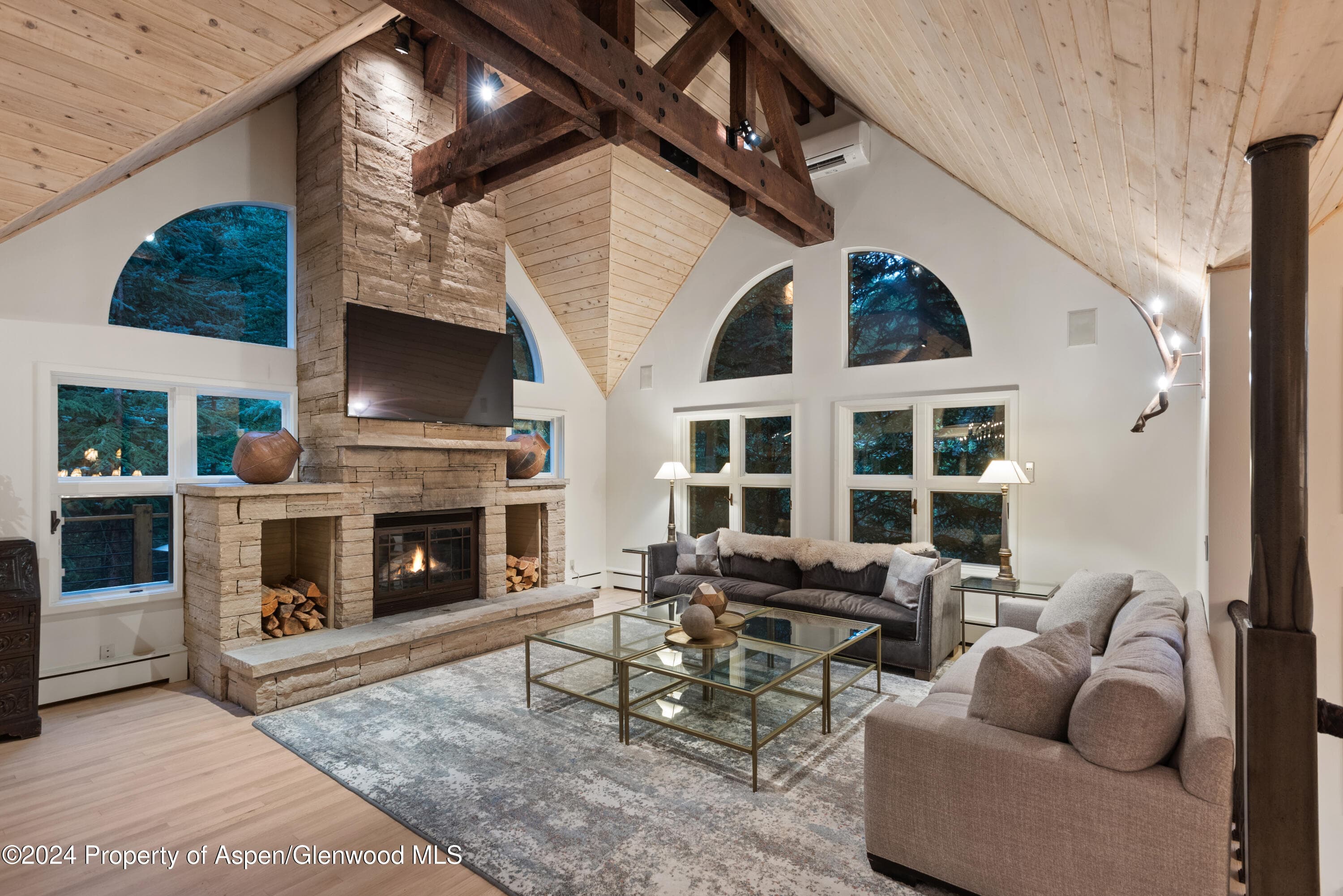 901 Ute Avenue, Aspen, CO 81611 - Photo 5