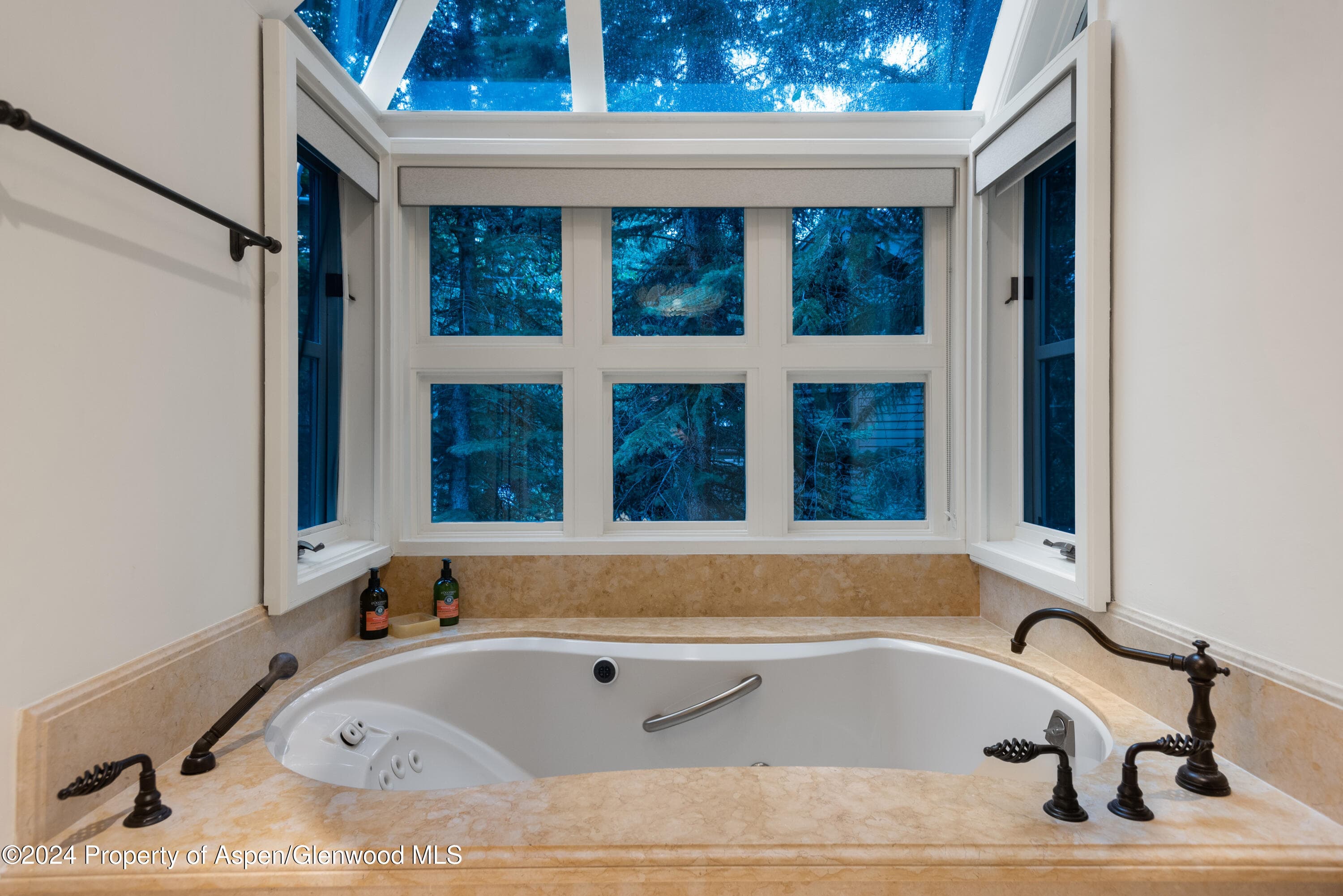 901 Ute Avenue, Aspen, CO 81611 - Photo 21