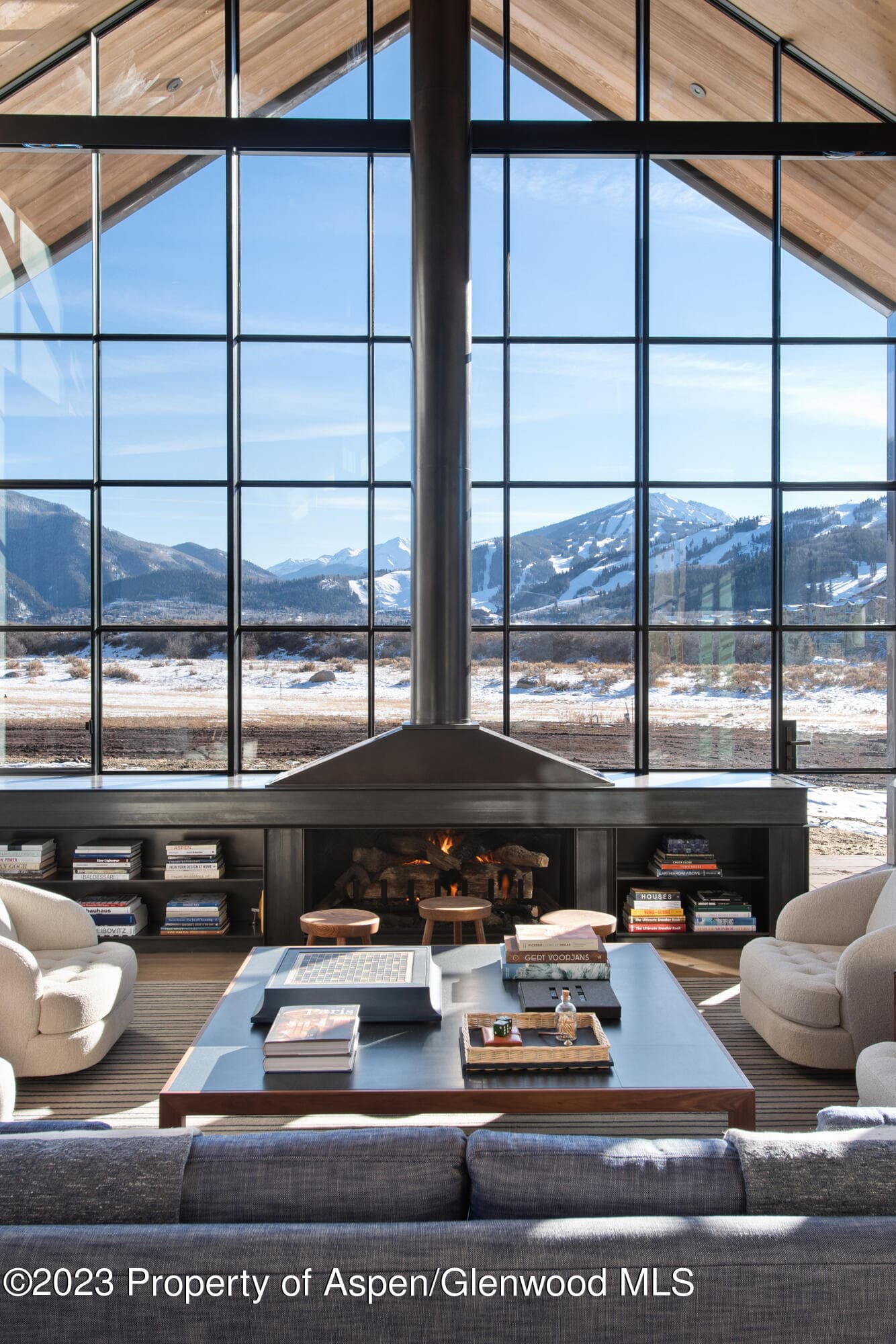 173 Slalom Path, Aspen, CO 81611 - Photo 5