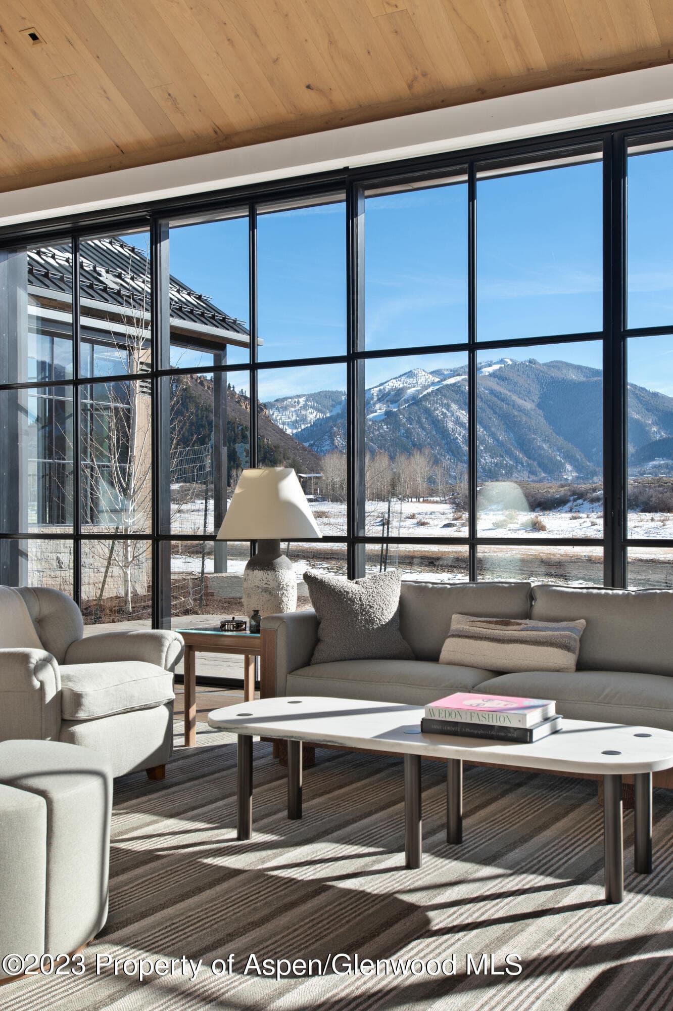 173 Slalom Path, Aspen, CO 81611 - Photo 6