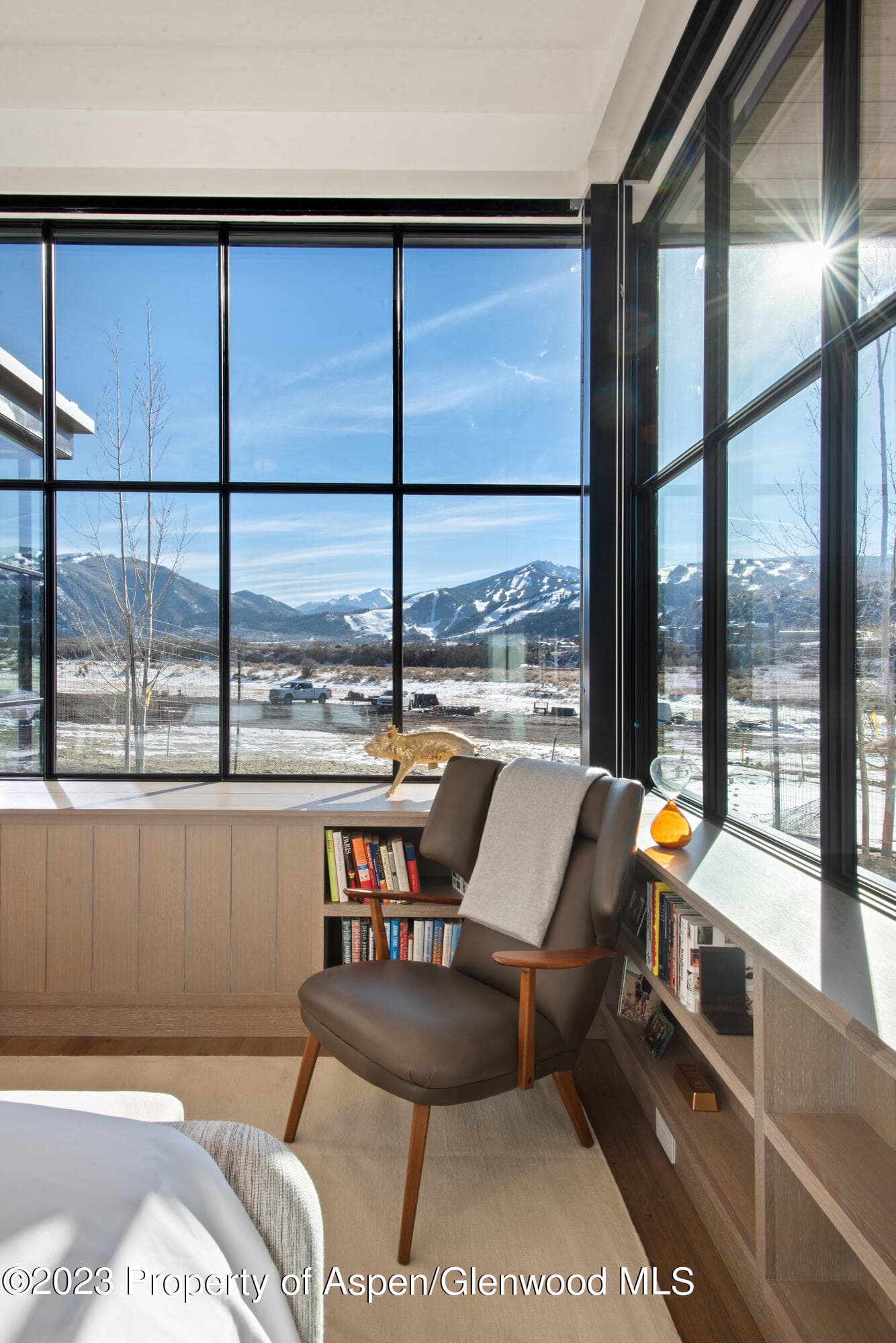 173 Slalom Path, Aspen, CO 81611 - Photo 16