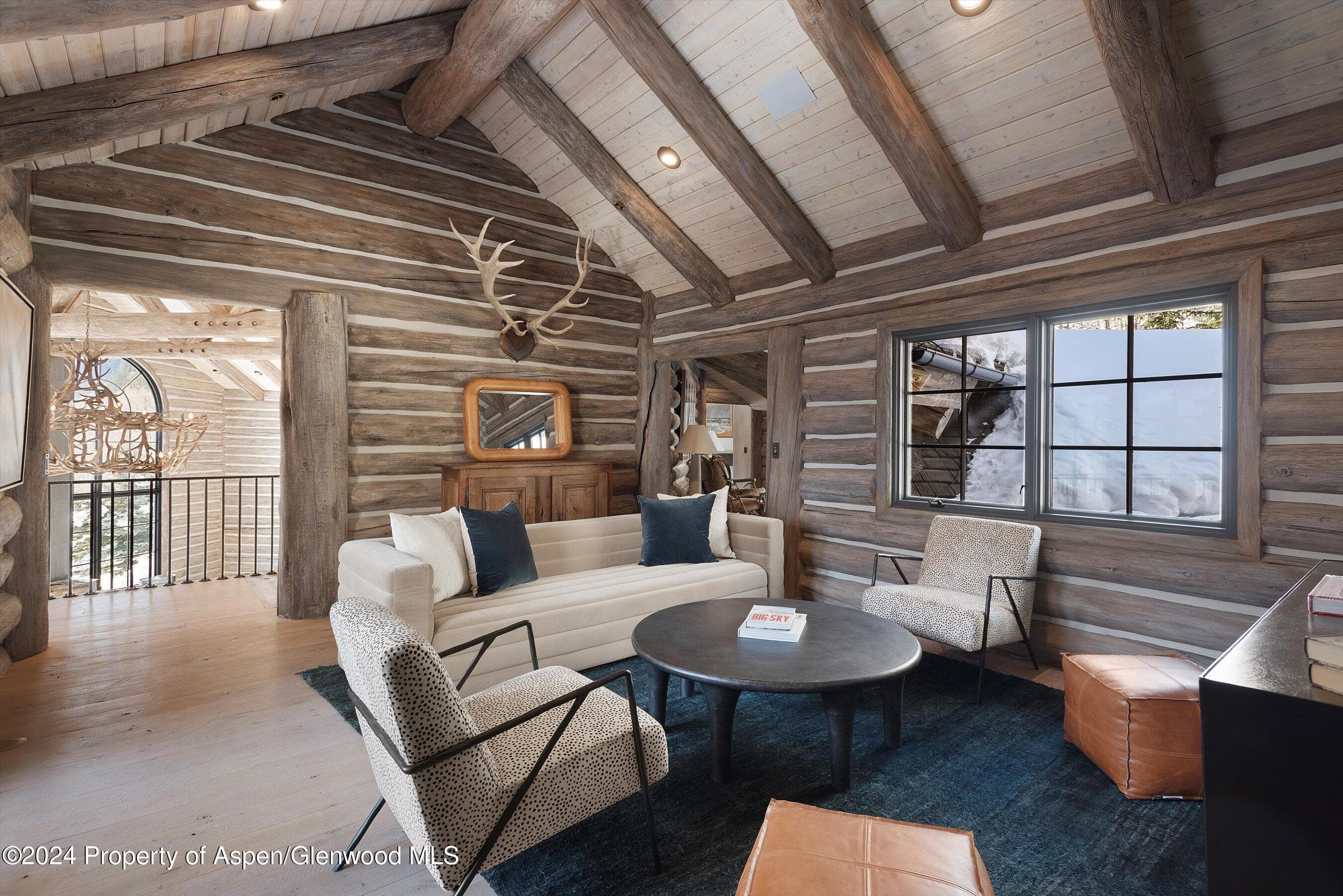 931 N Hayden Road, Aspen, CO 81611 - Photo 18