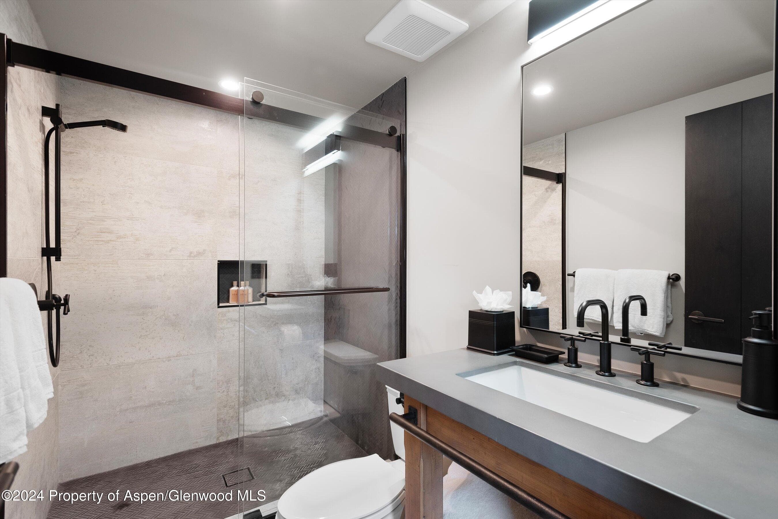 931 N Hayden Road, Aspen, CO 81611 - Photo 31