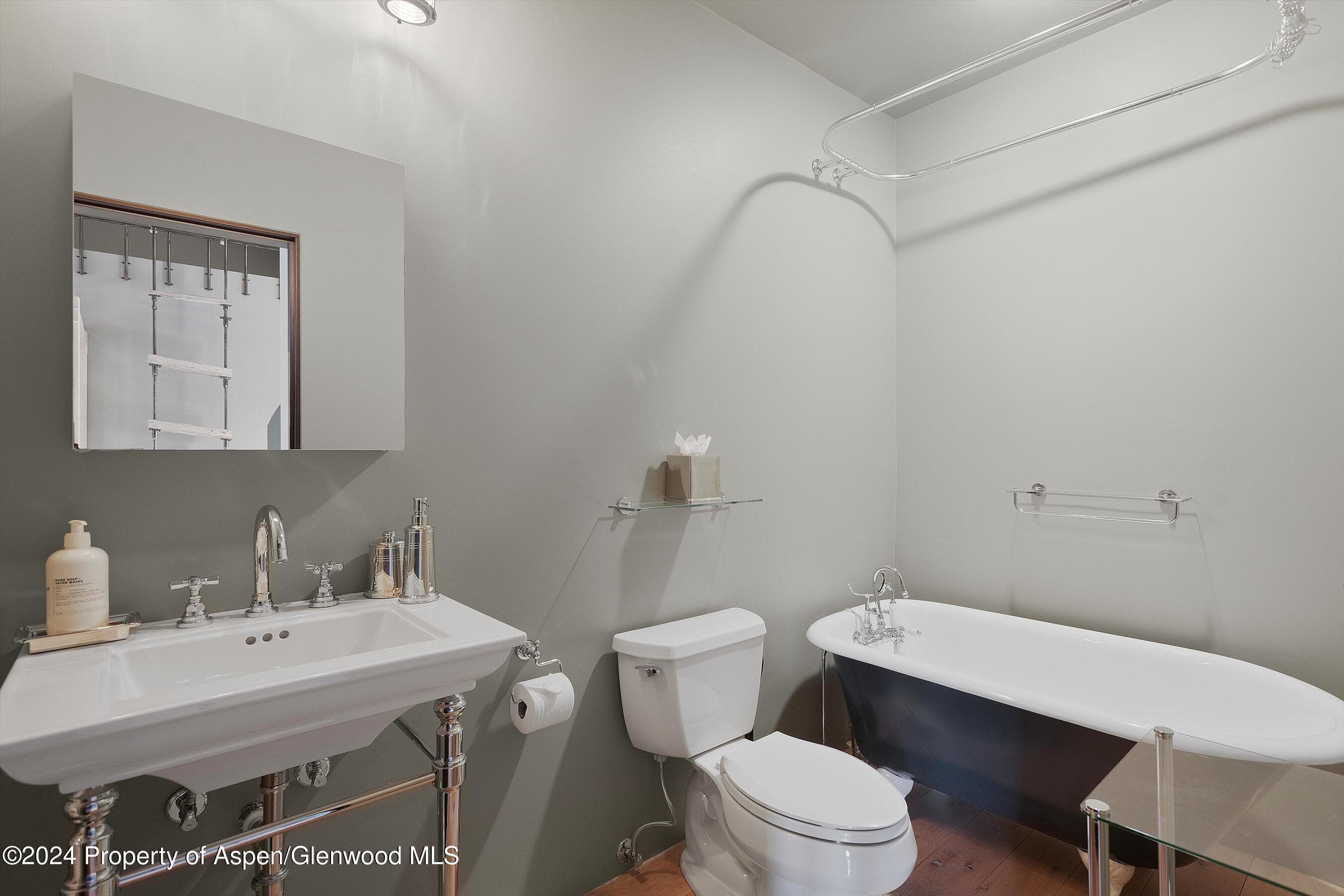931 N Hayden Road, Aspen, CO 81611 - Photo 33