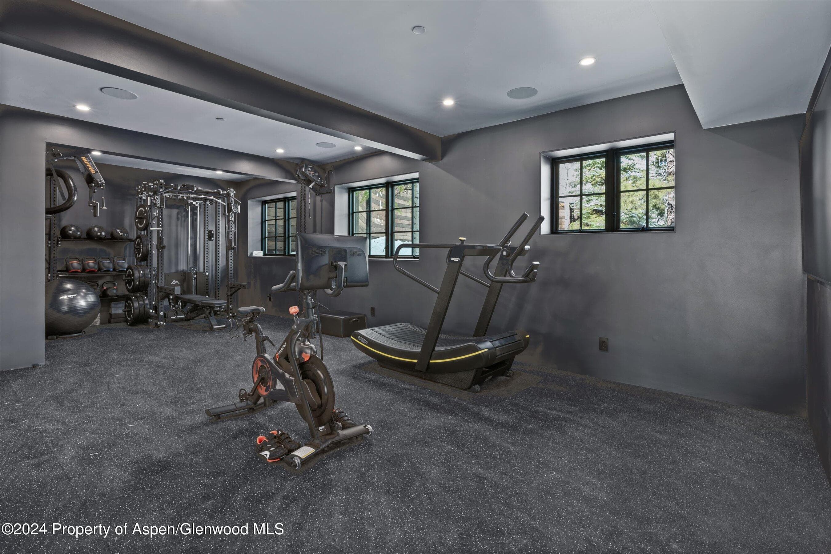 931 N Hayden Road, Aspen, CO 81611 - Photo 42