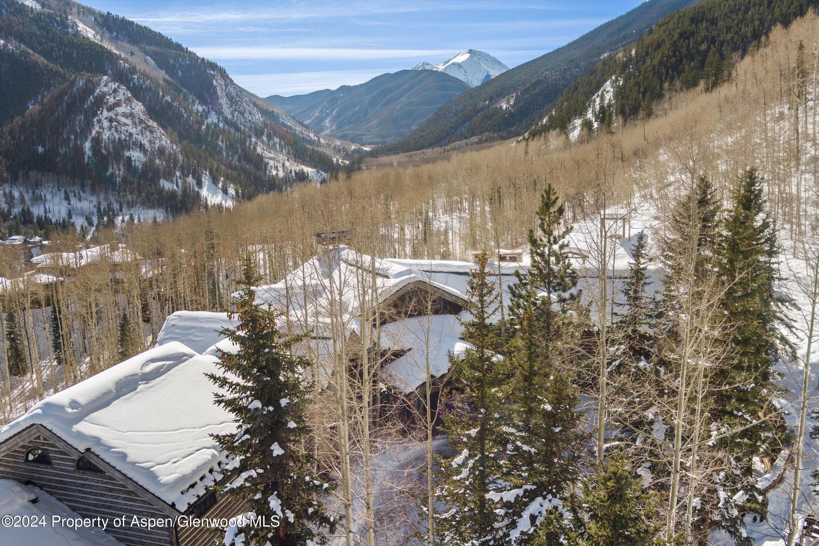 931 N Hayden Road, Aspen, CO 81611 - Photo 54