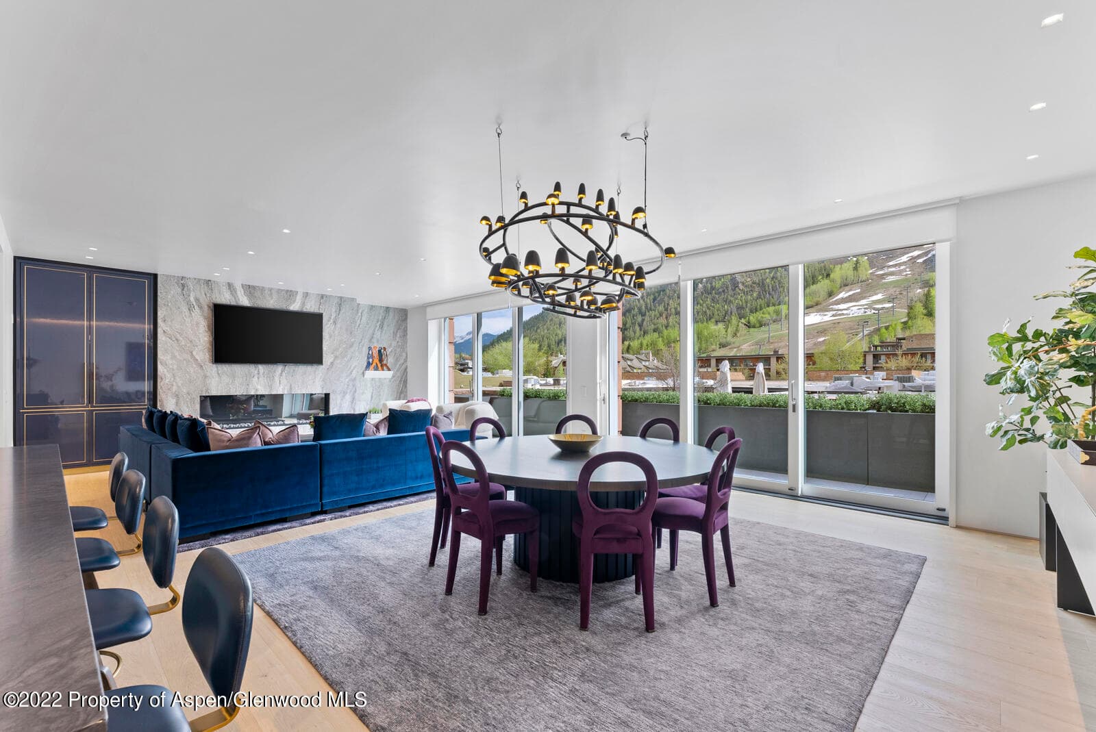 508 E Cooper Avenue Unit 201, Aspen, CO 81611 - Photo 10