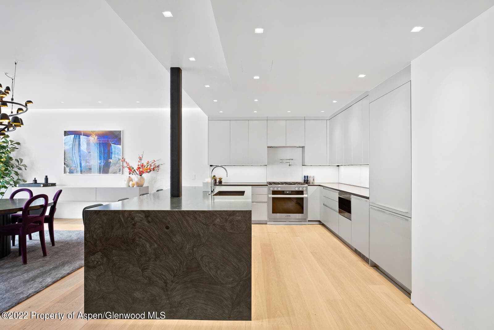 508 E Cooper Avenue Unit 201, Aspen, CO 81611 - Photo 18