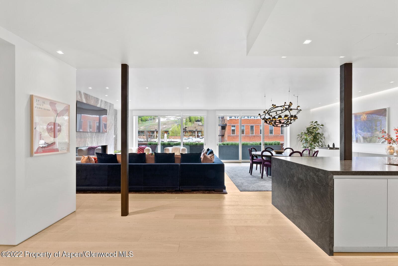 508 E Cooper Avenue Unit 201, Aspen, CO 81611 - Photo 20