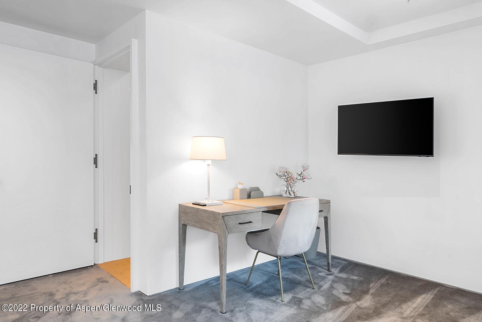 508 E Cooper Avenue Unit 201, Aspen, CO 81611 - Photo 33
