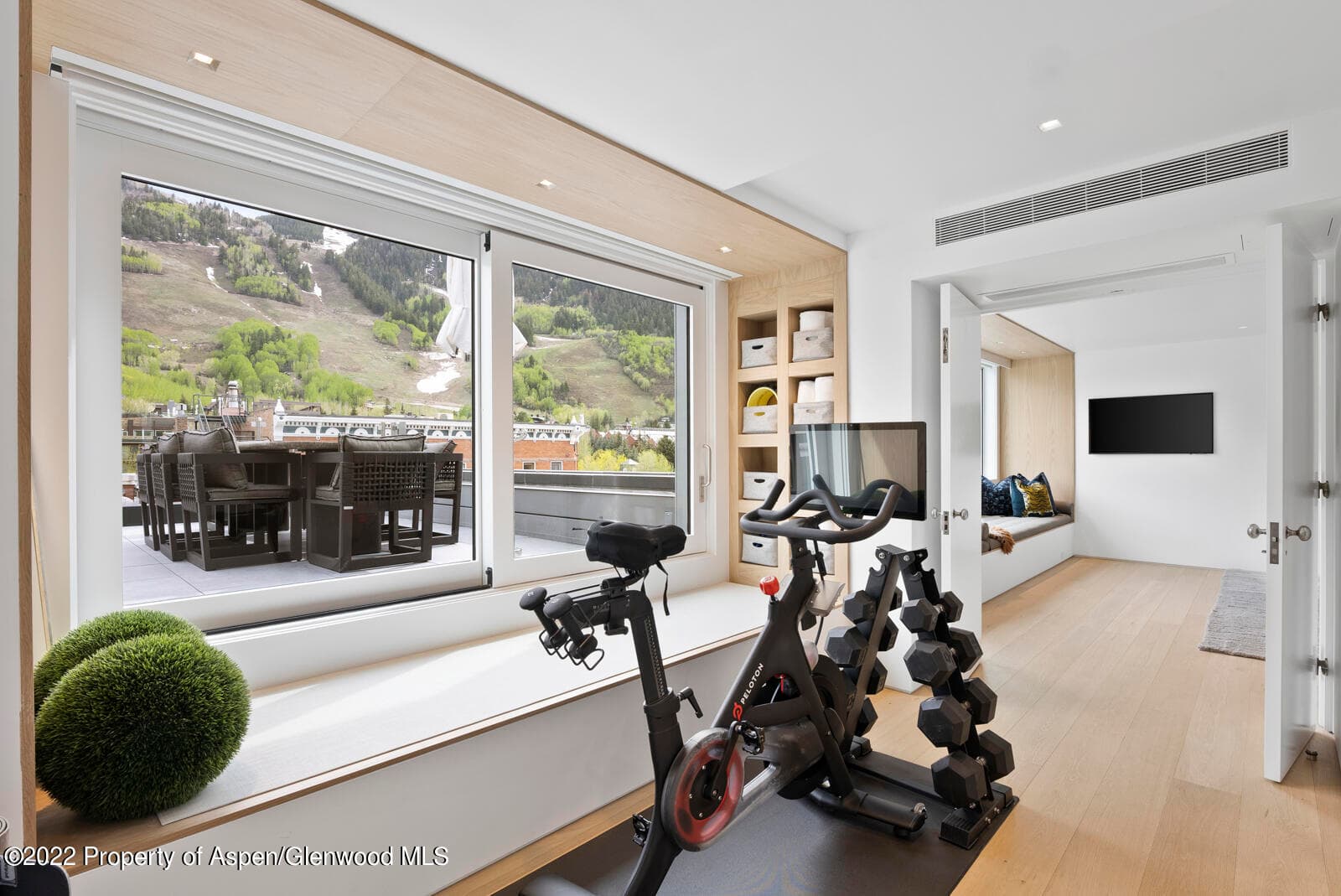508 E Cooper Avenue Unit 201, Aspen, CO 81611 - Photo 38