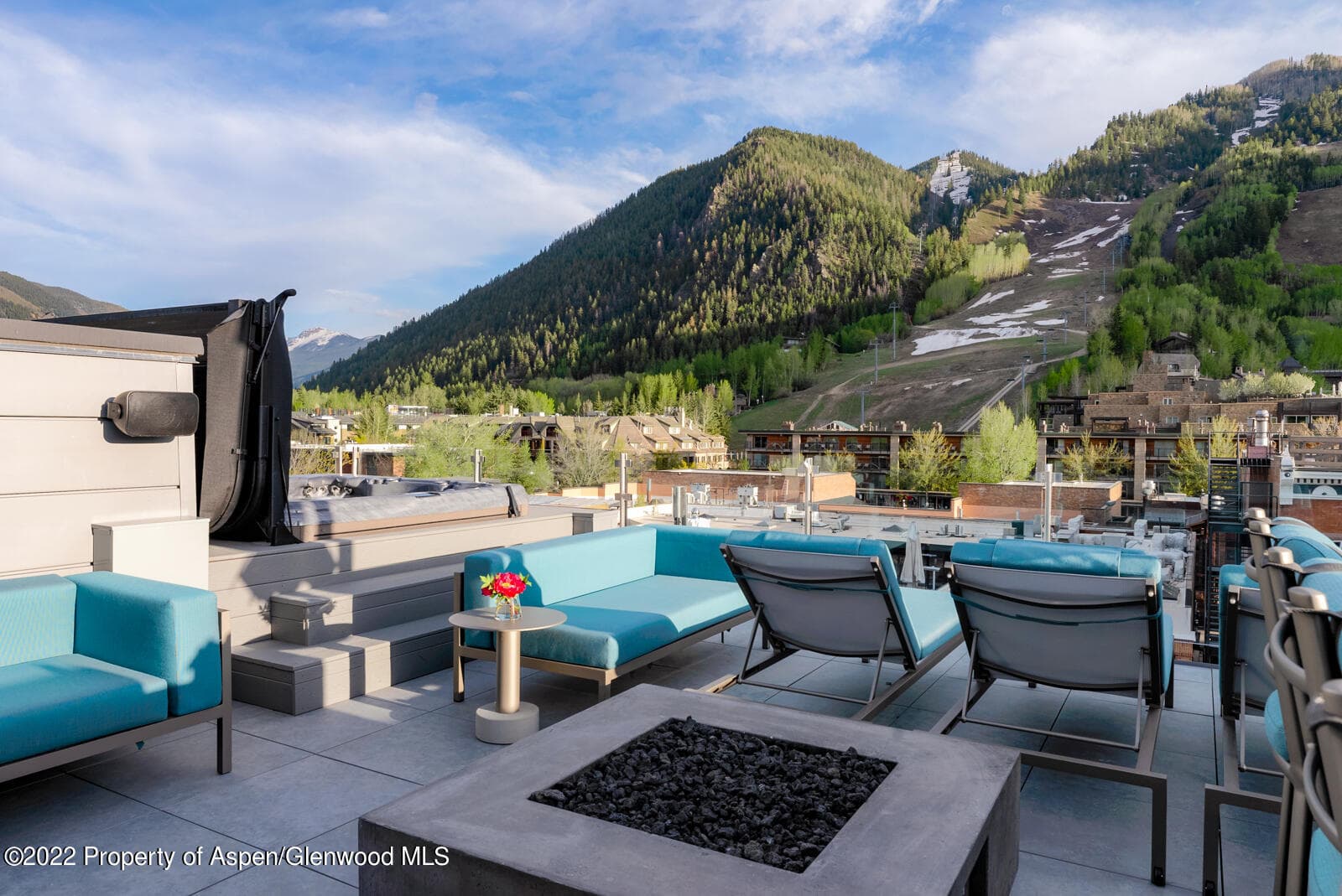 508 E Cooper Avenue Unit 201, Aspen, CO 81611 - Photo 46