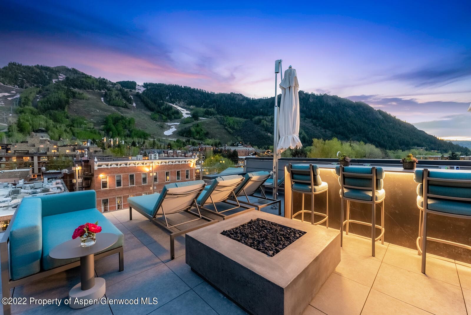 508 E Cooper Avenue Unit 201, Aspen, CO 81611 - Photo 47