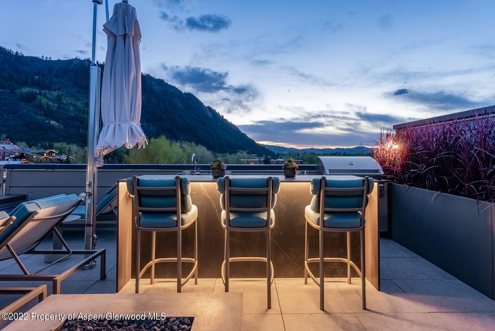 508 E Cooper Avenue Unit 201, Aspen, CO 81611 - Photo 48