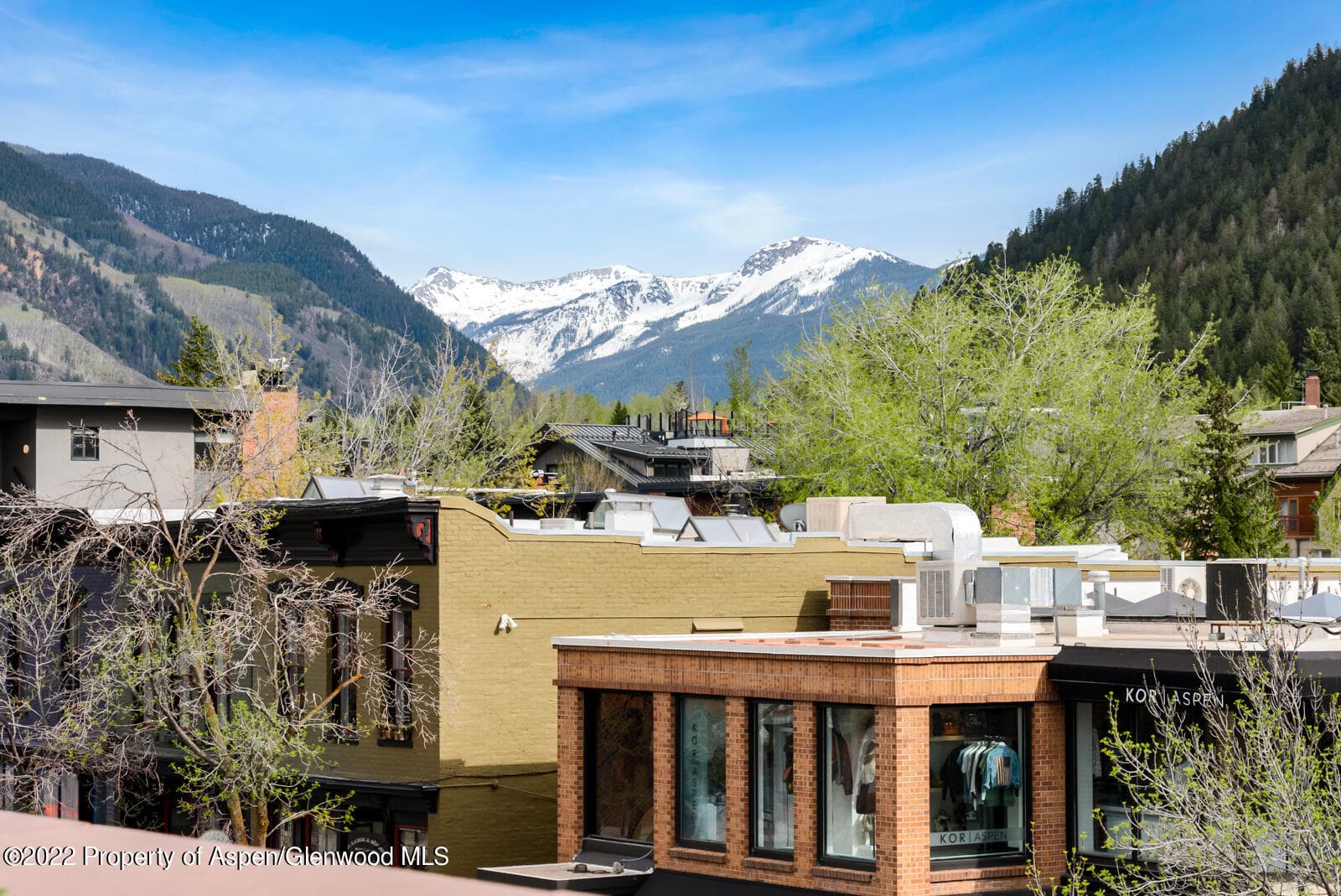 508 E Cooper Avenue Unit 201, Aspen, CO 81611 - Photo 52