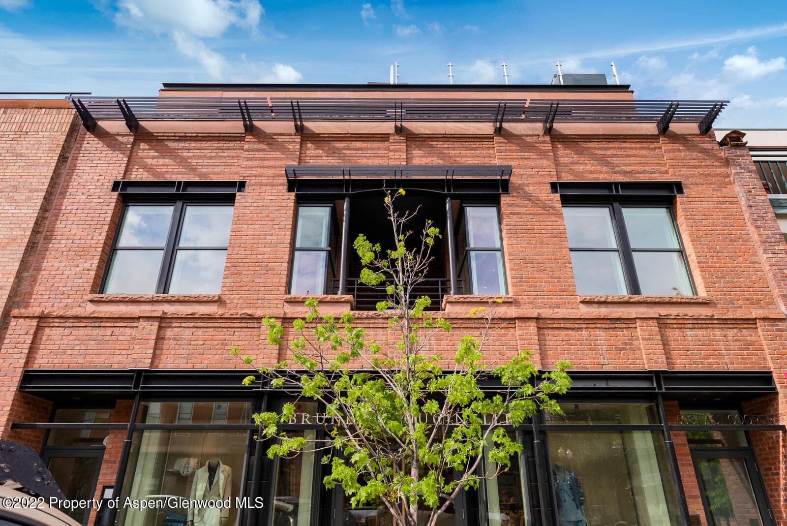 508 E Cooper Avenue Unit 201, Aspen, CO 81611 - Photo 53