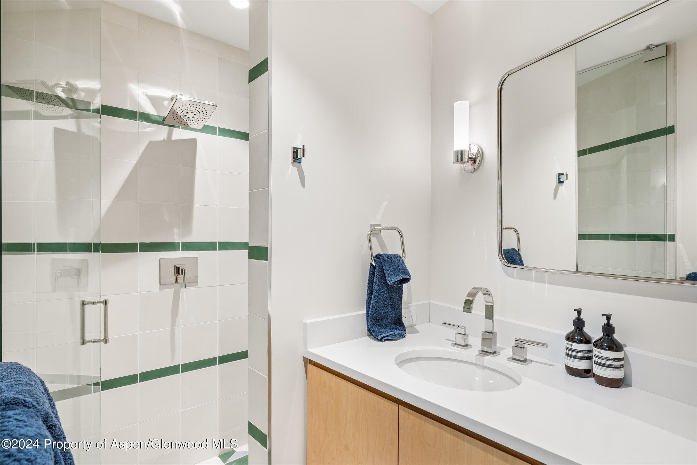 701 Gibson Avenue, Aspen, CO 81611 - Photo 47