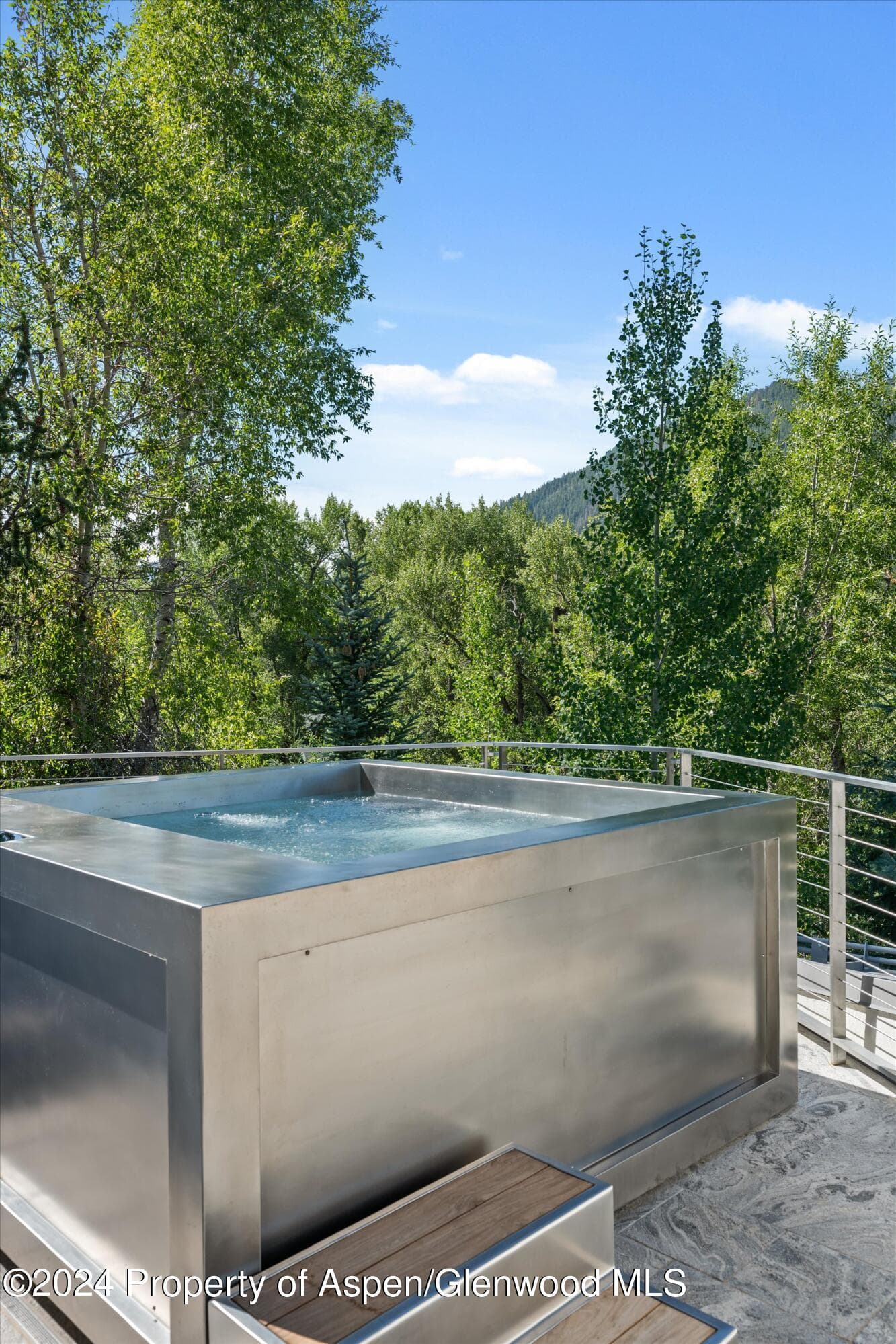 701 Gibson Avenue, Aspen, CO 81611 - Photo 53