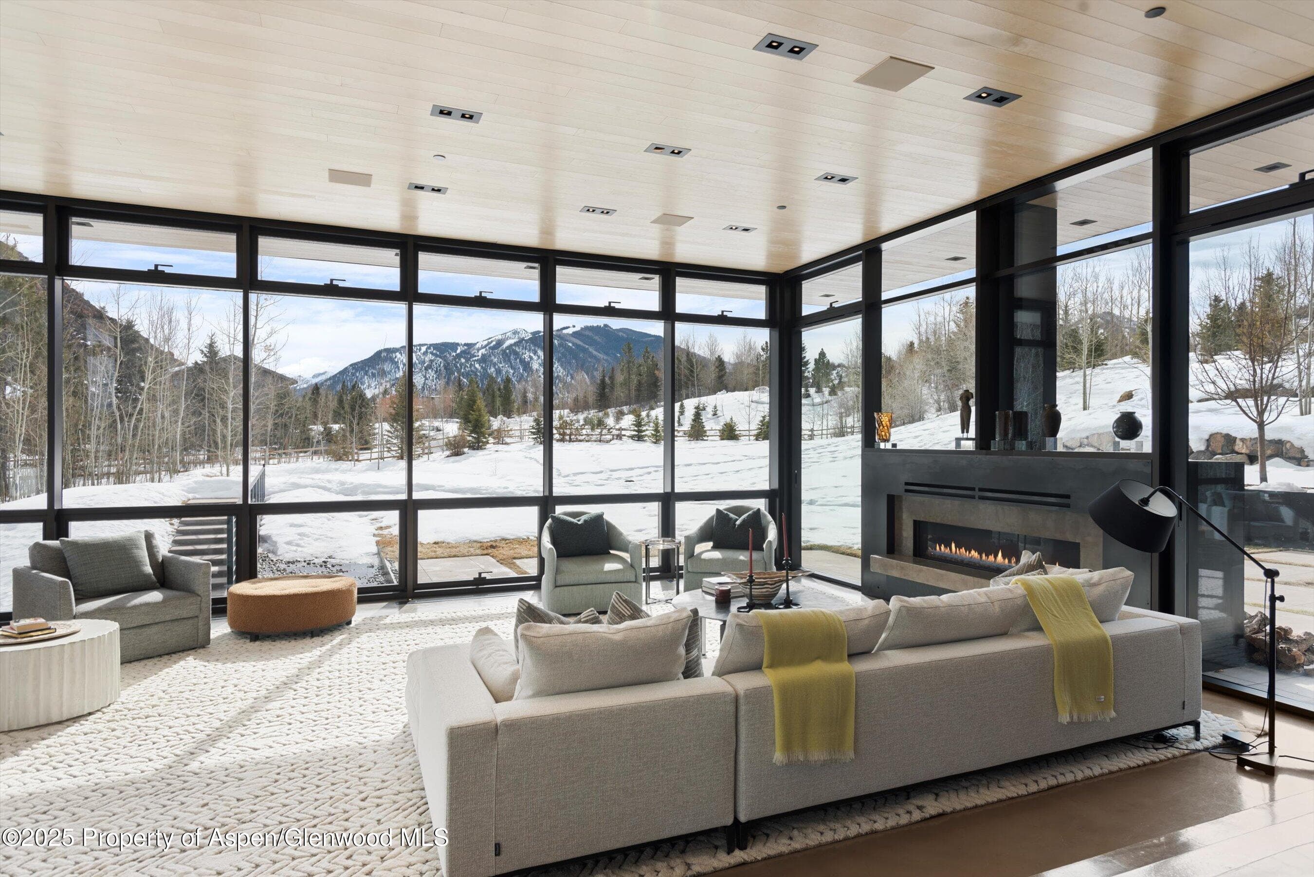 276 Coach Road, Aspen, CO 81611 - Photo 2