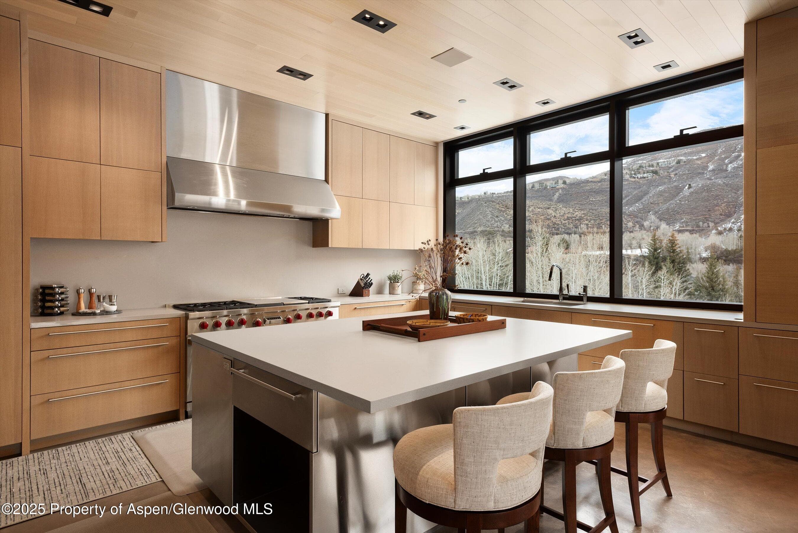 276 Coach Road, Aspen, CO 81611 - Photo 10