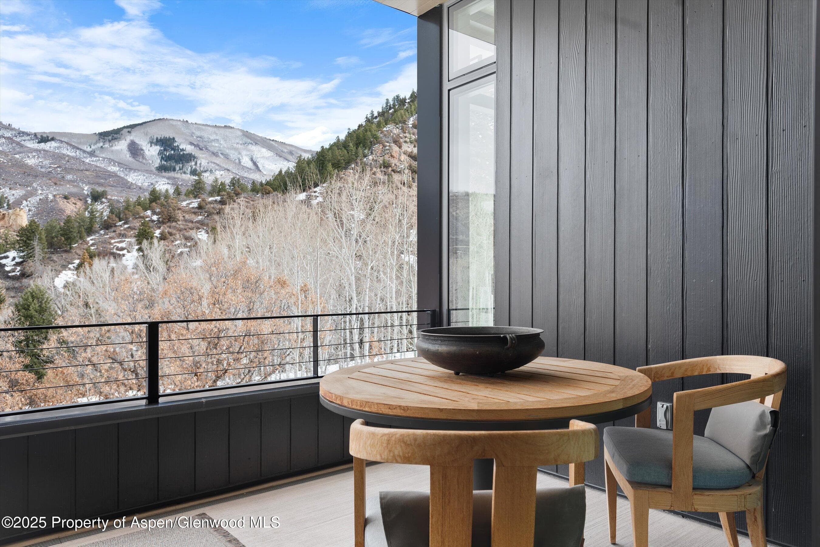 276 Coach Road, Aspen, CO 81611 - Photo 44