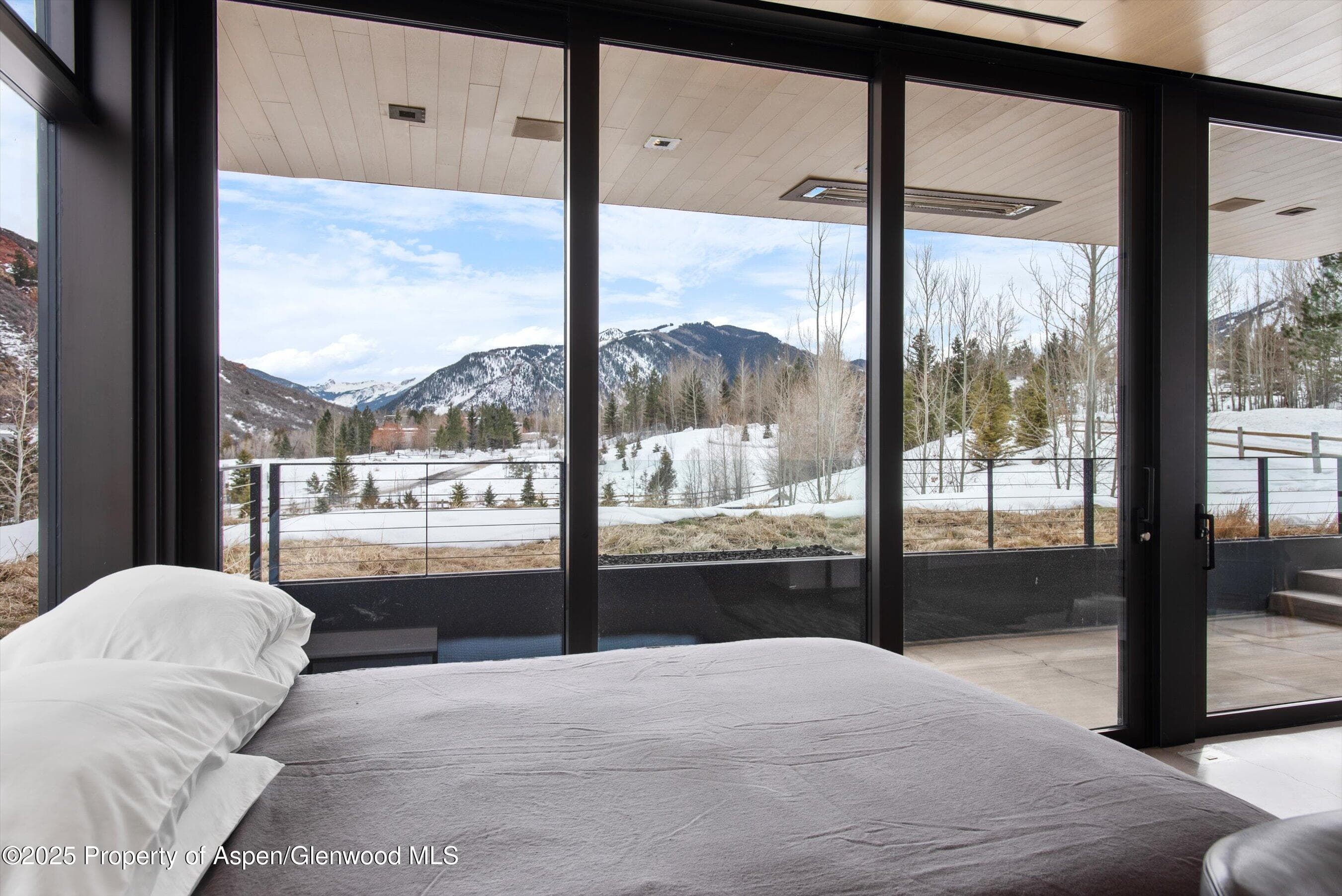 276 Coach Road, Aspen, CO 81611 - Photo 51