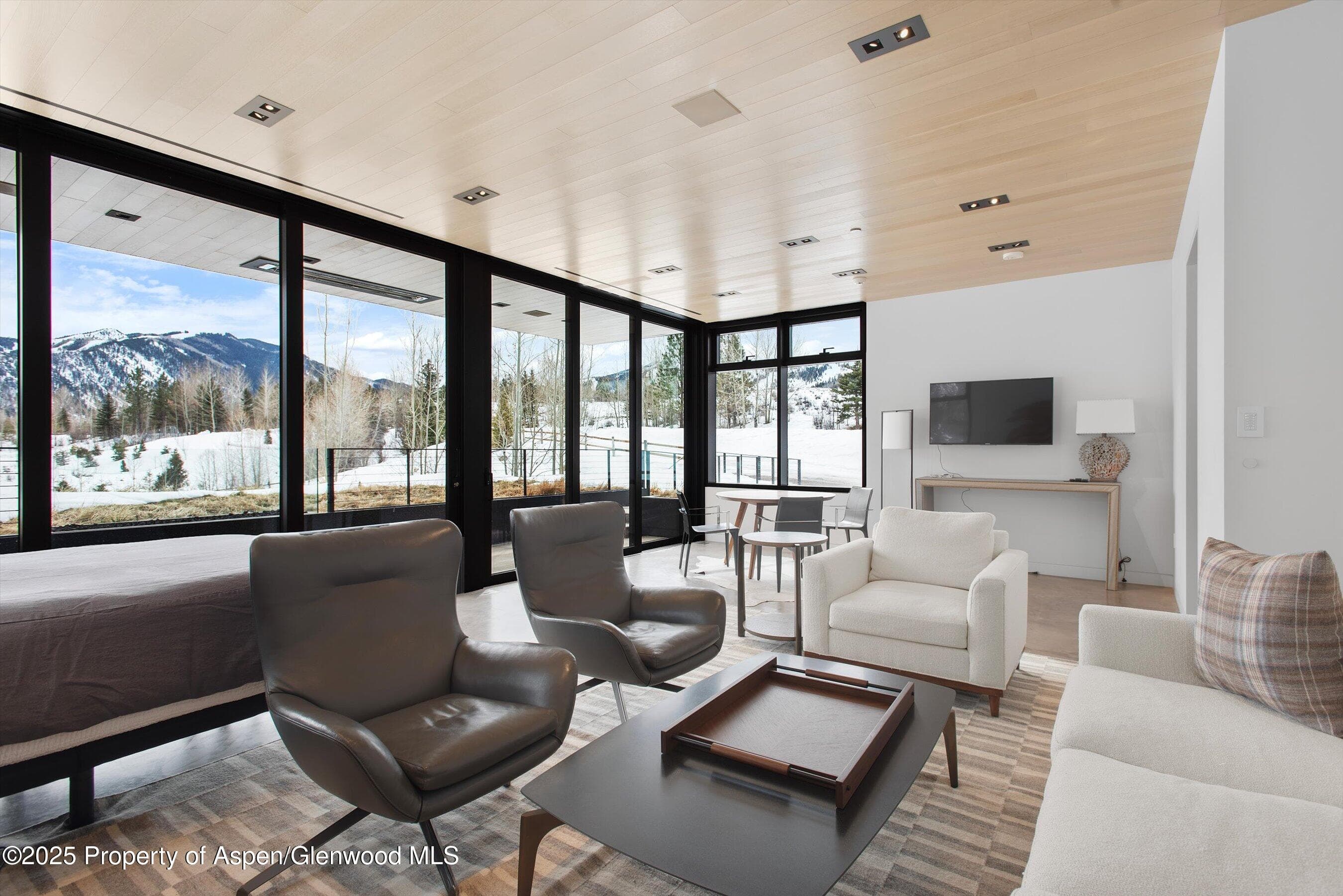 276 Coach Road, Aspen, CO 81611 - Photo 52
