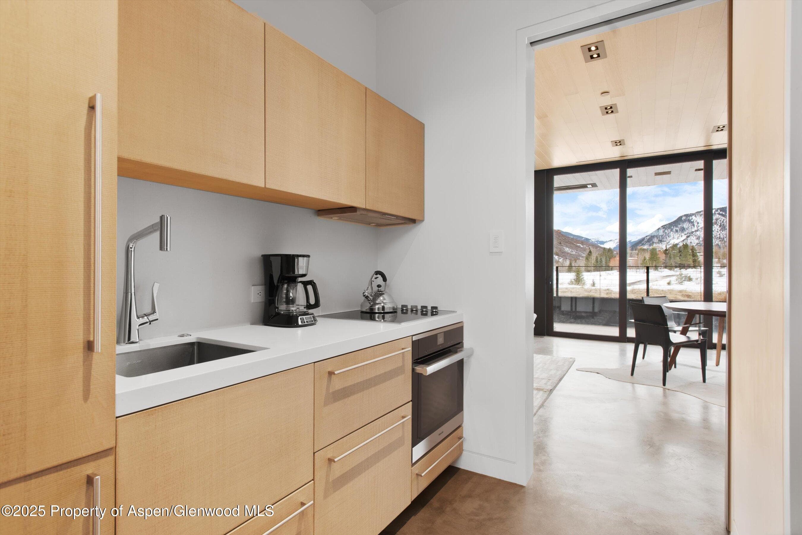 276 Coach Road, Aspen, CO 81611 - Photo 53