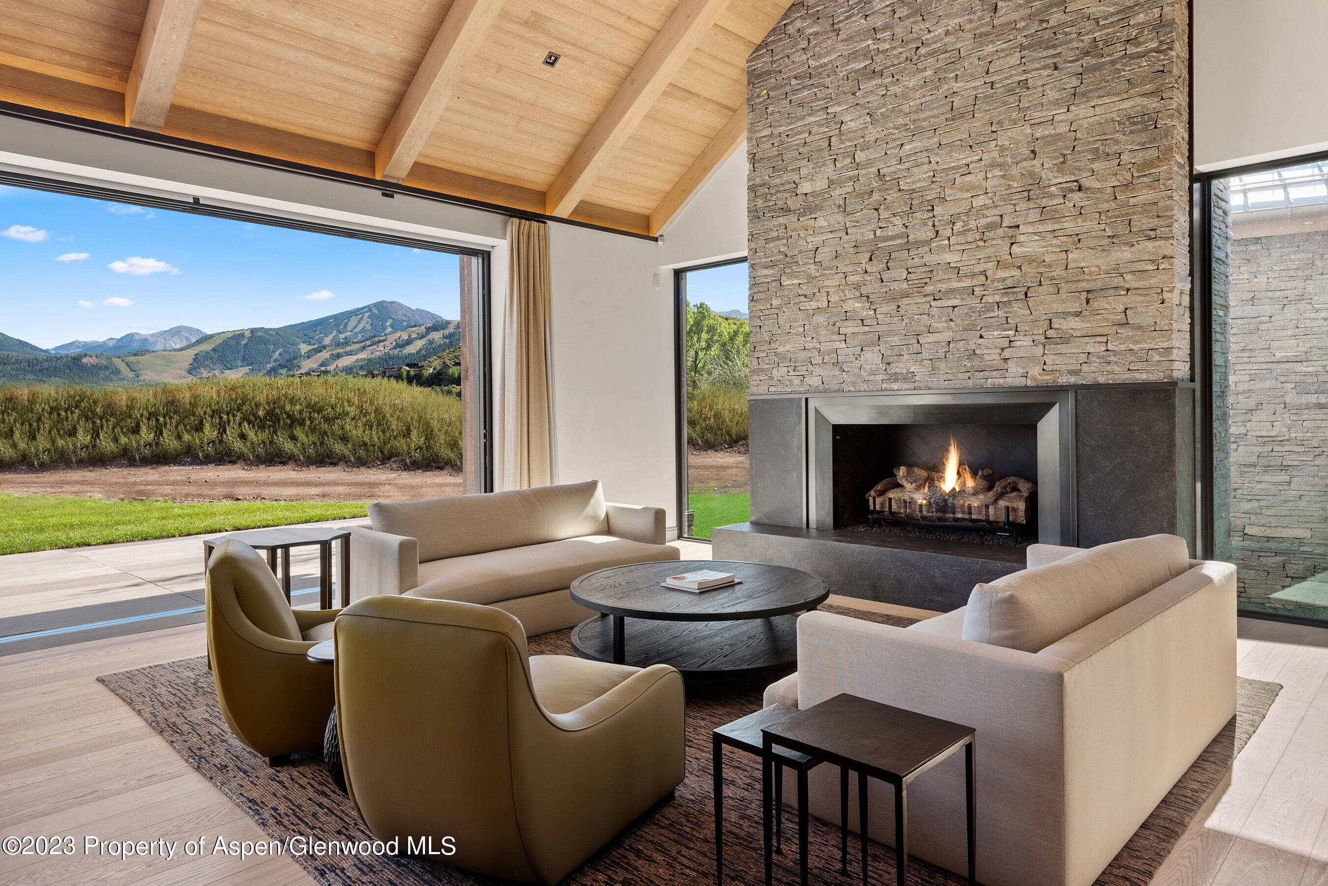 245 Slalom Path, Aspen, CO 81611 - Photo 3