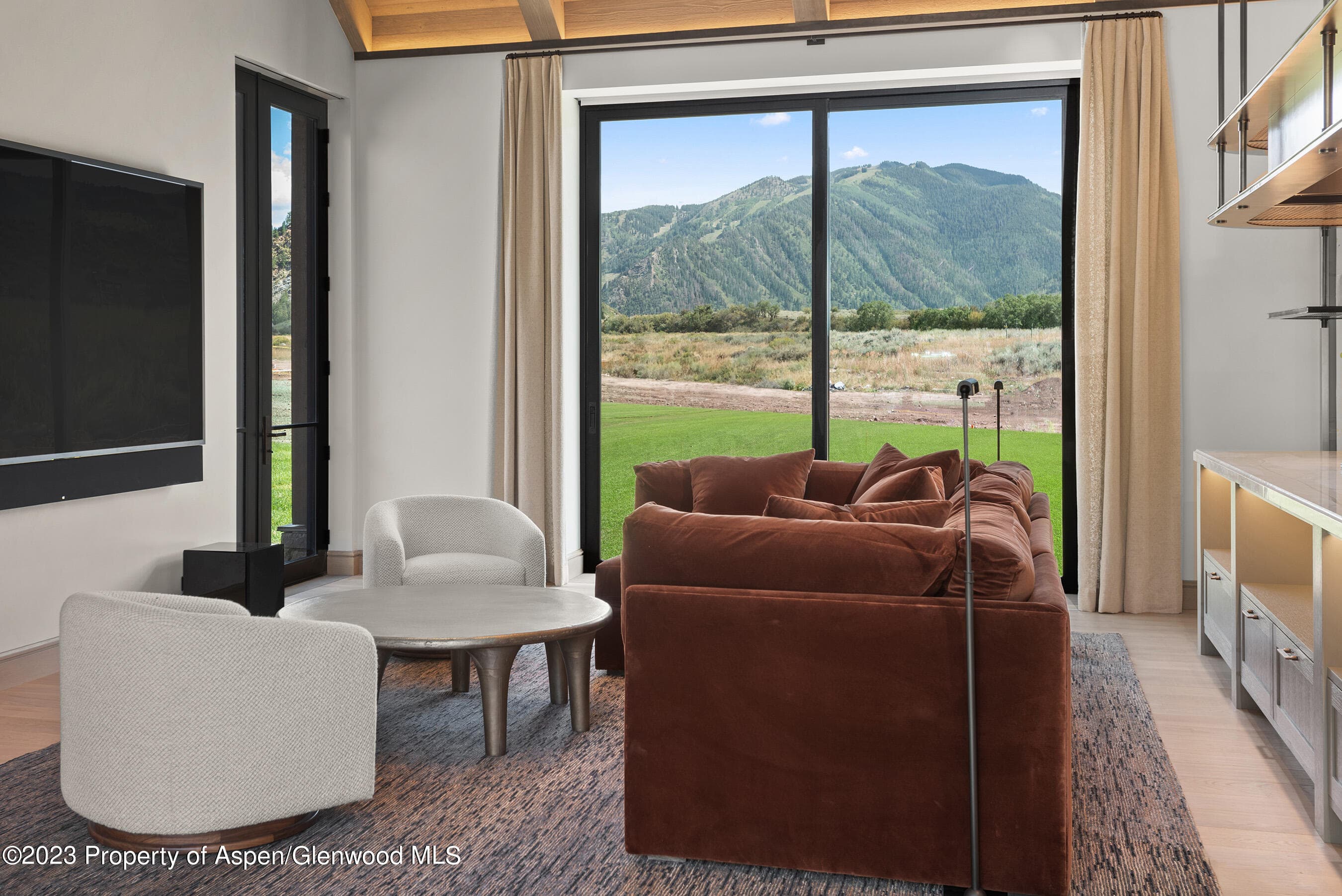 245 Slalom Path, Aspen, CO 81611 - Photo 7
