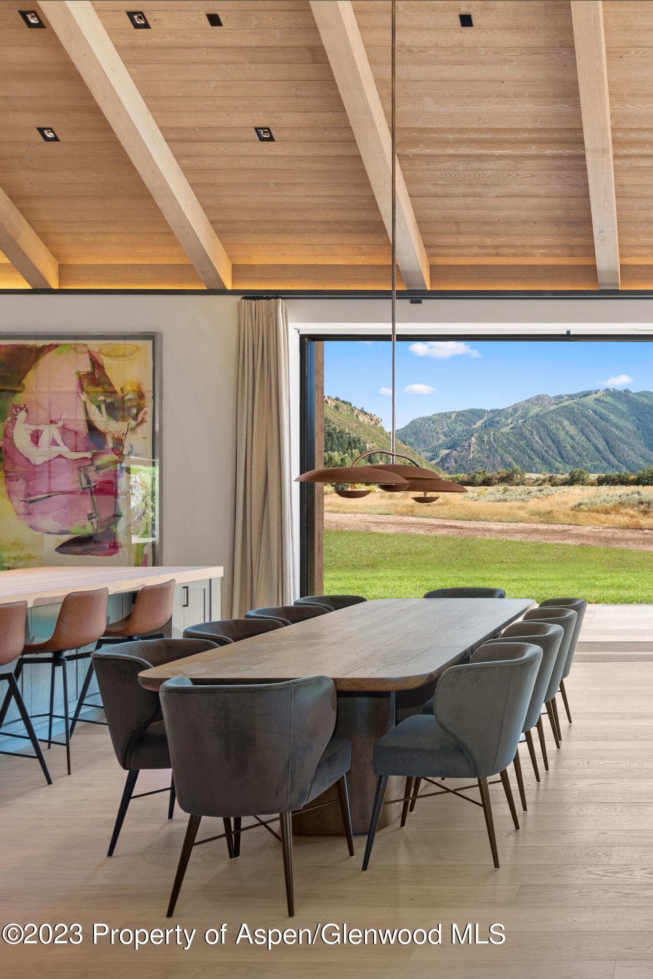 245 Slalom Path, Aspen, CO 81611 - Photo 13