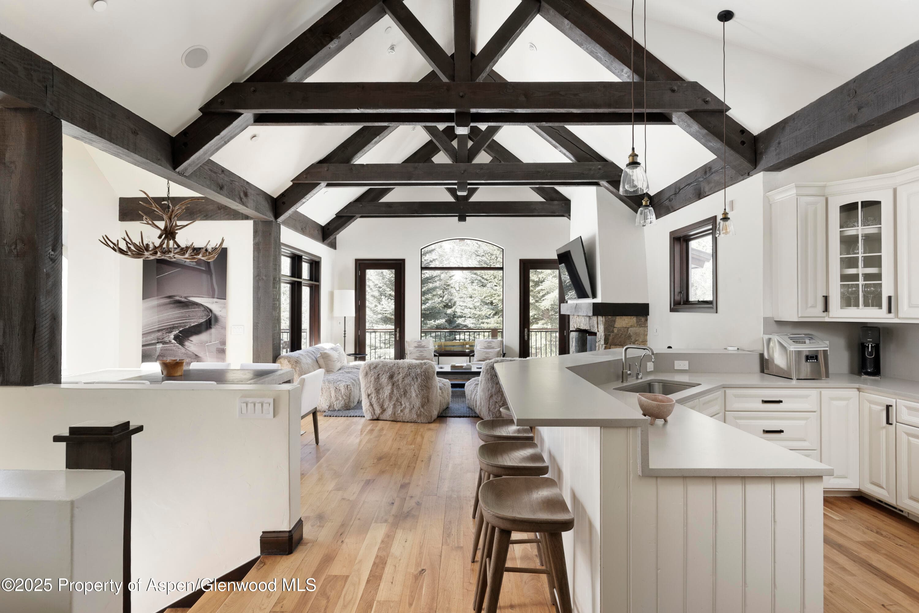 42553 Highway 82, Aspen, CO 81611 - Photo 4
