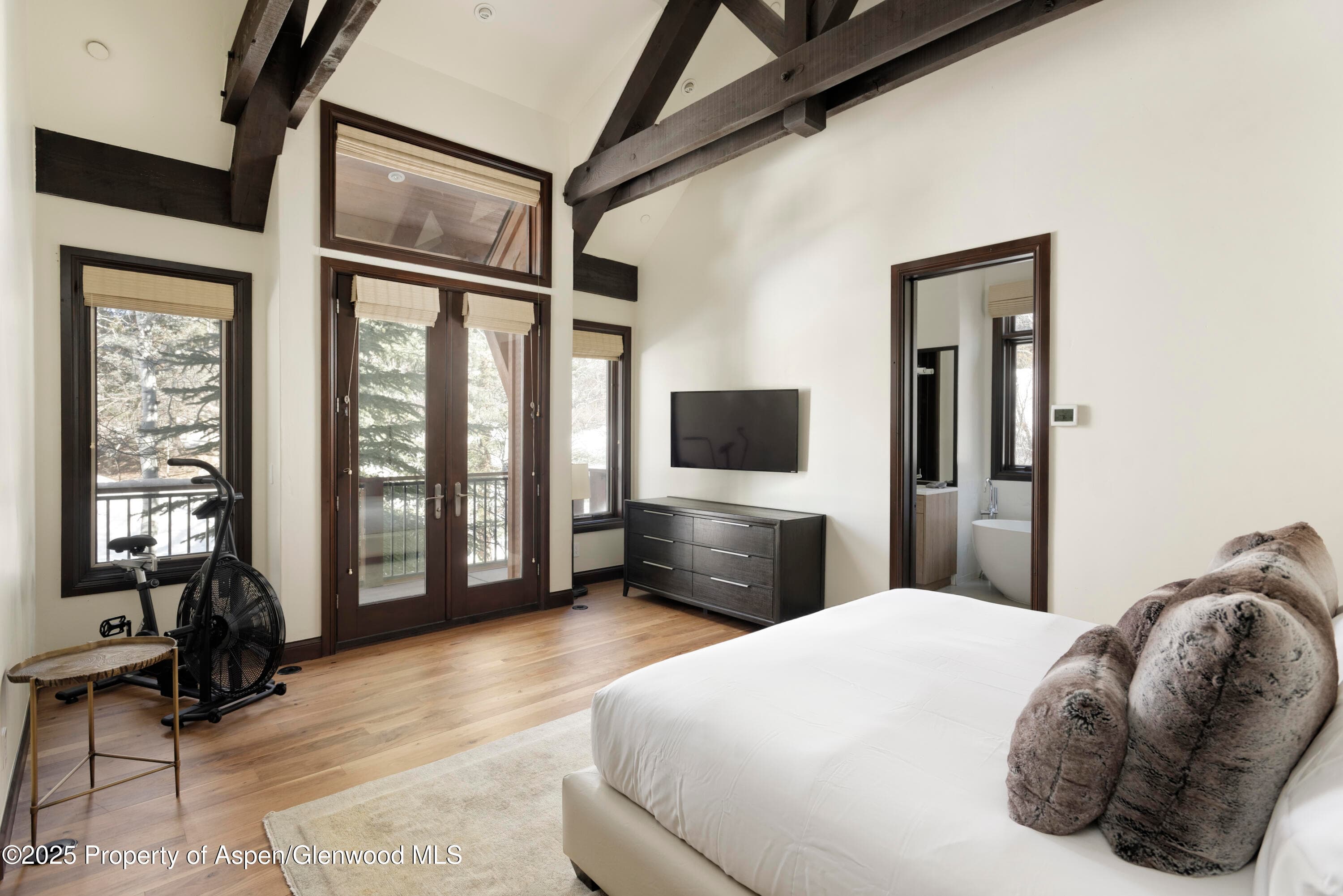 42553 Highway 82, Aspen, CO 81611 - Photo 12