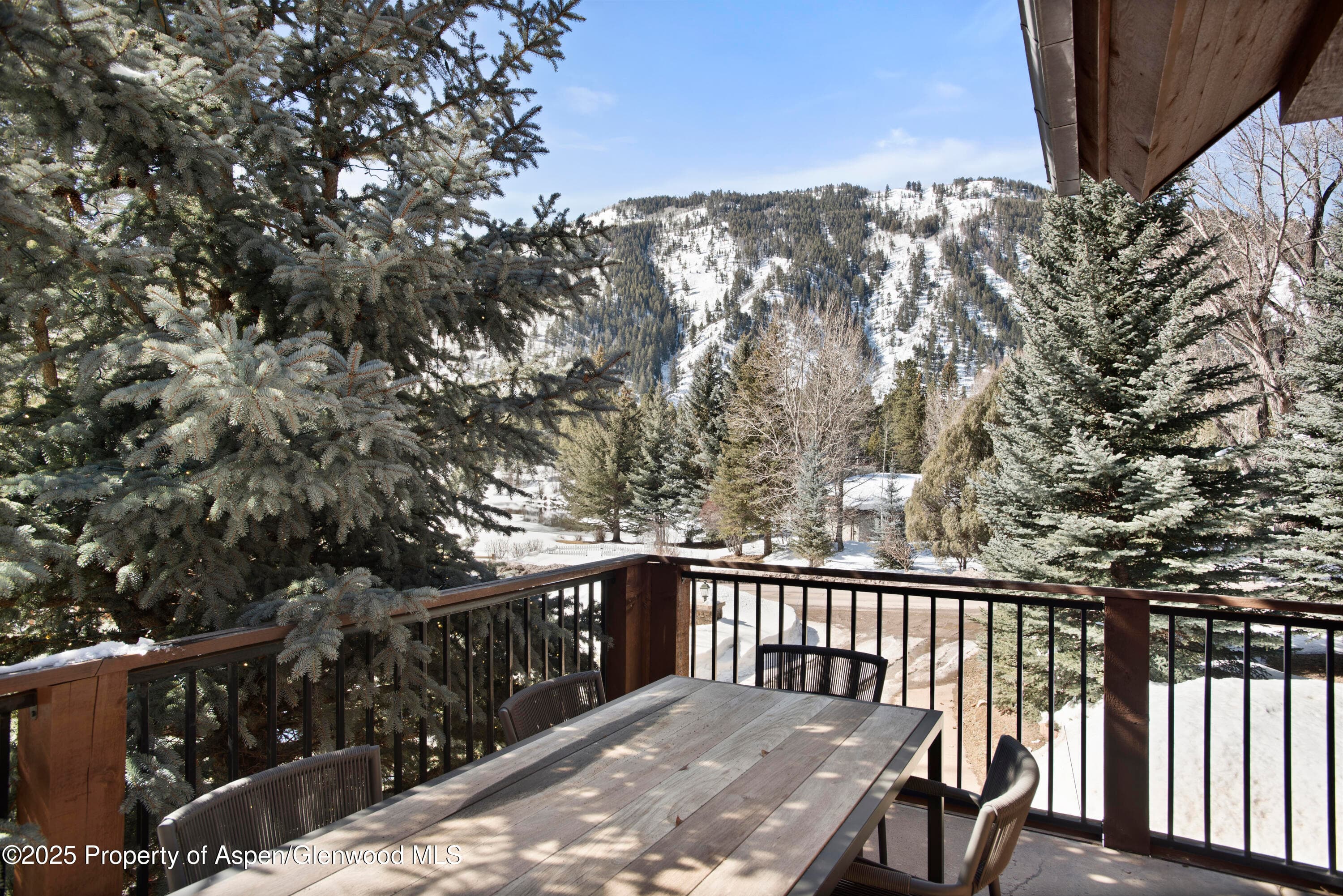 42553 Highway 82, Aspen, CO 81611 - Photo 15