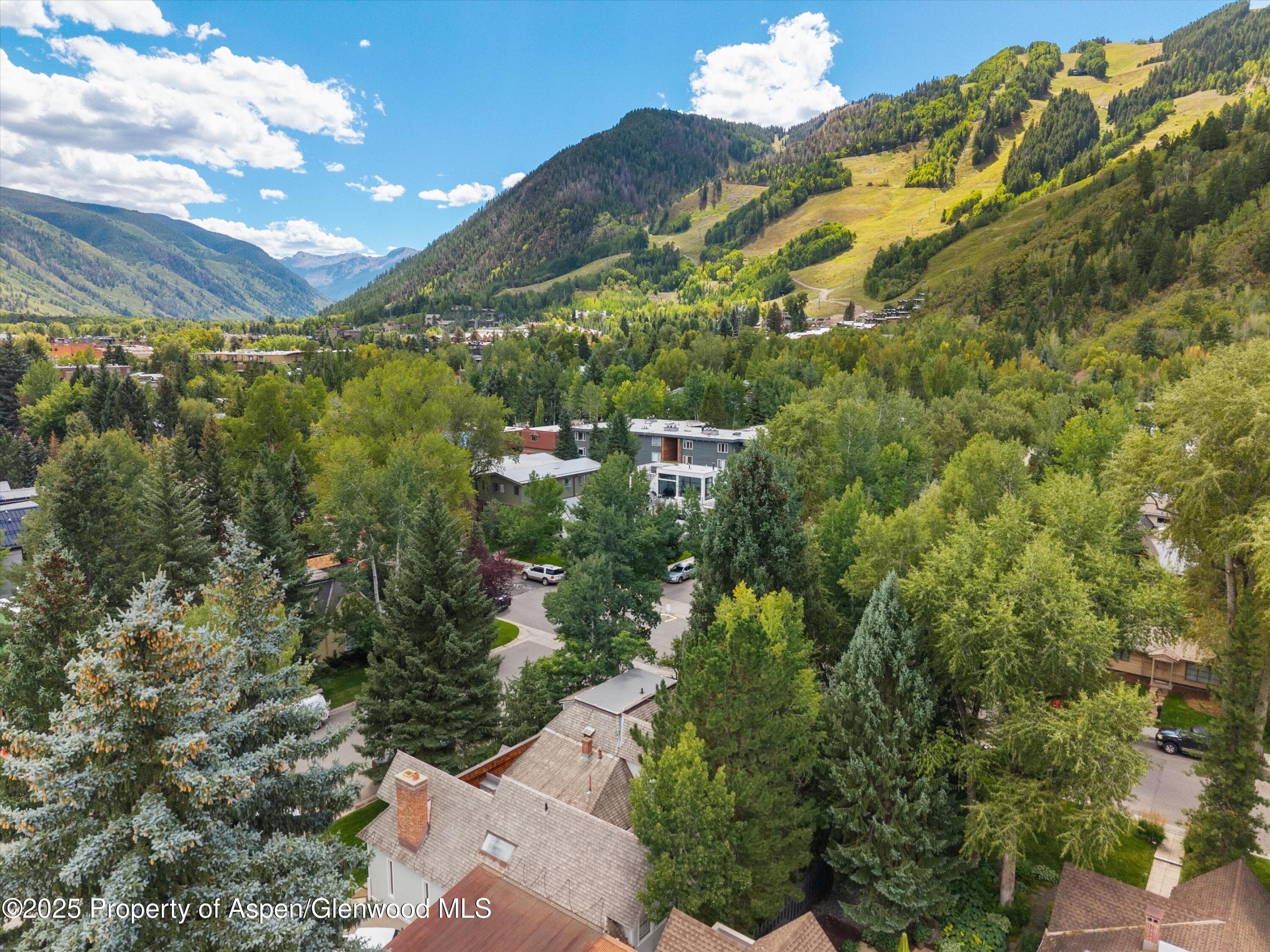 200 W Hopkins Avenue, Aspen, CO 81611 - Photo 39