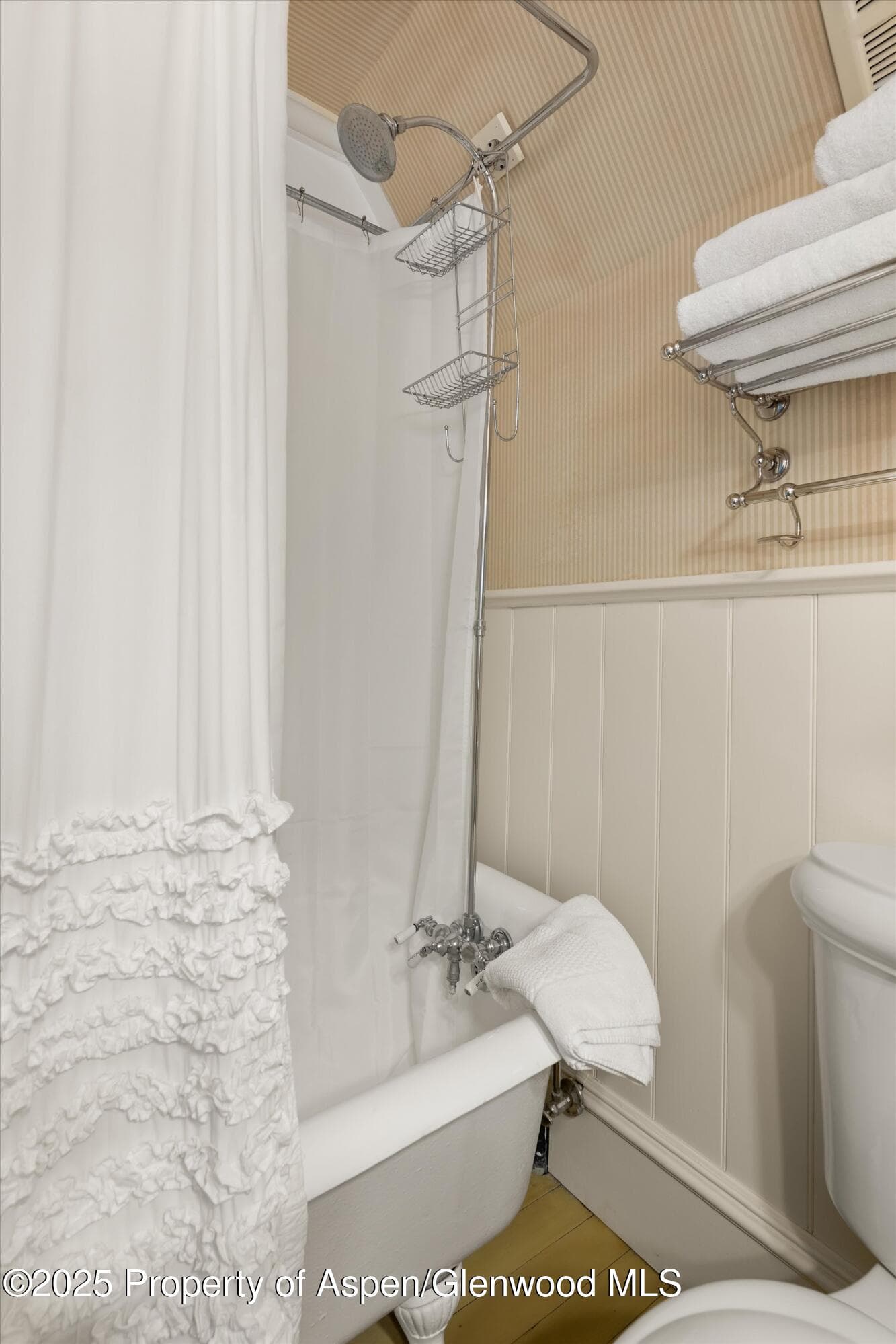200 W Hopkins Avenue, Aspen, CO 81611 - Photo 24