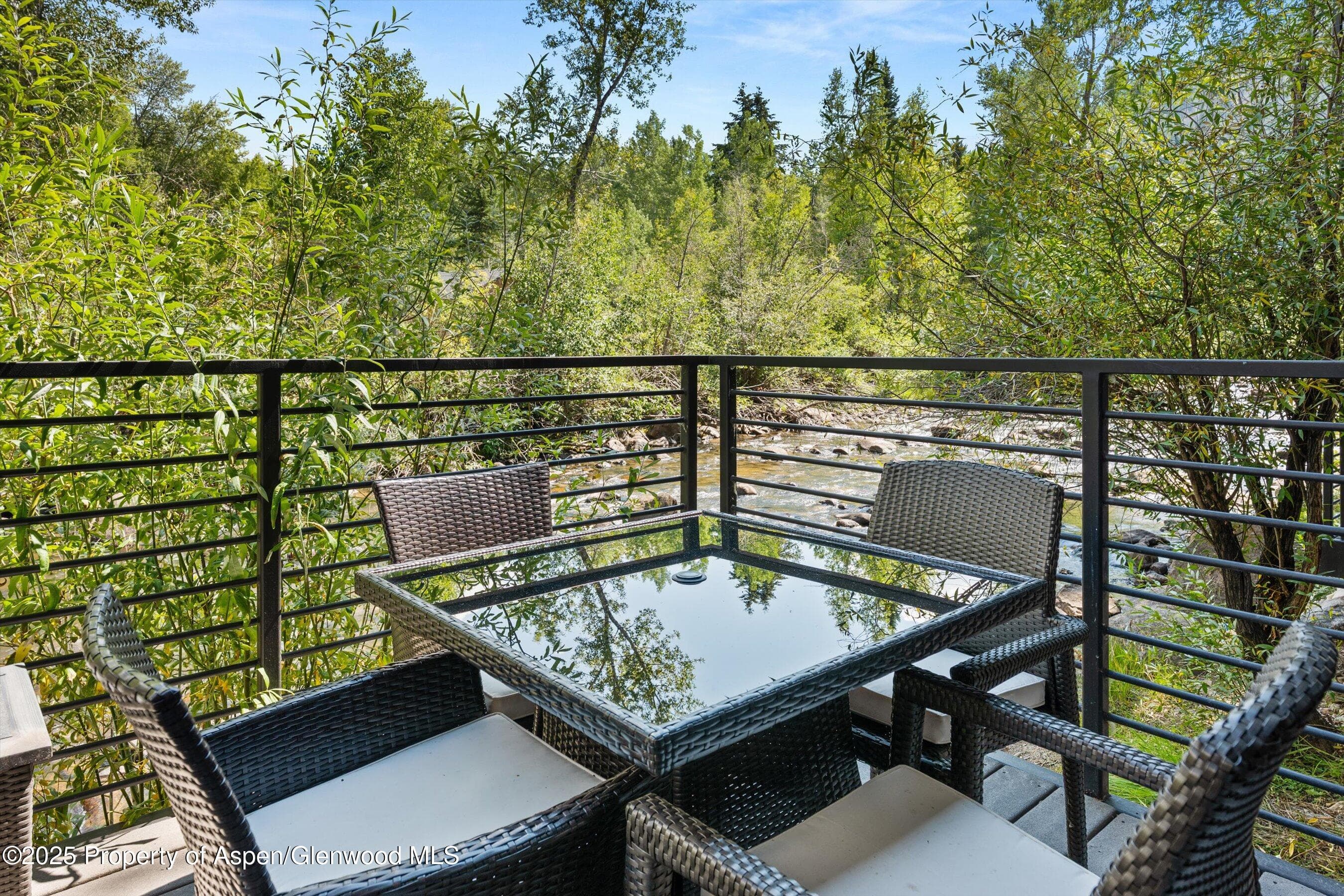 1039 E Cooper Avenue 21a, Aspen, CO 81611 - Photo 27