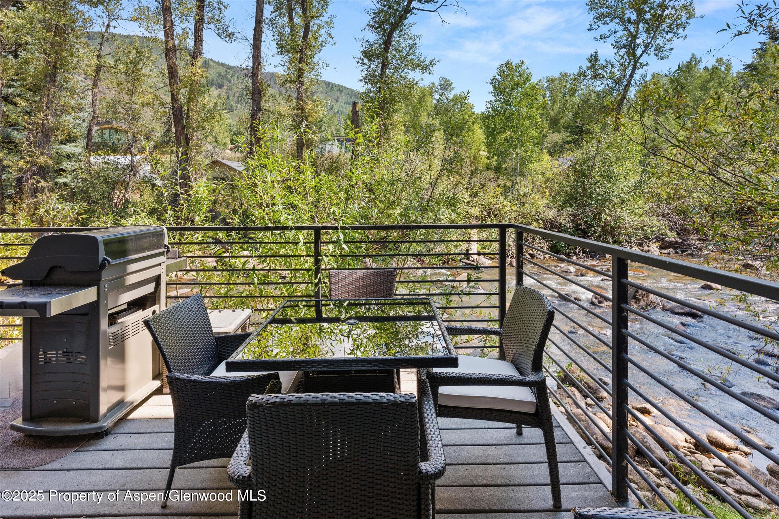 1039 E Cooper Avenue 21a, Aspen, CO 81611 - Photo 28