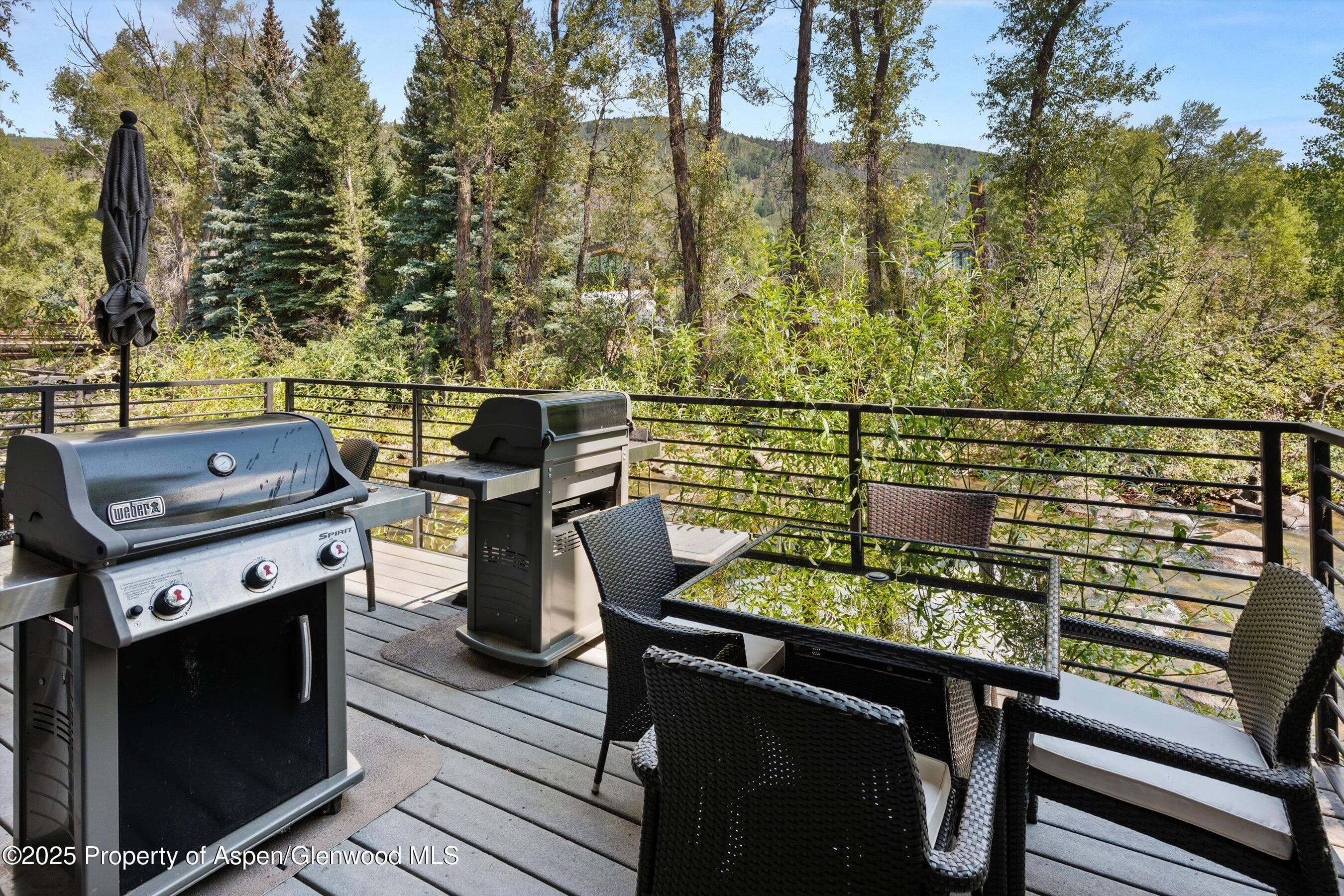 1039 E Cooper Avenue 21a, Aspen, CO 81611 - Photo 29