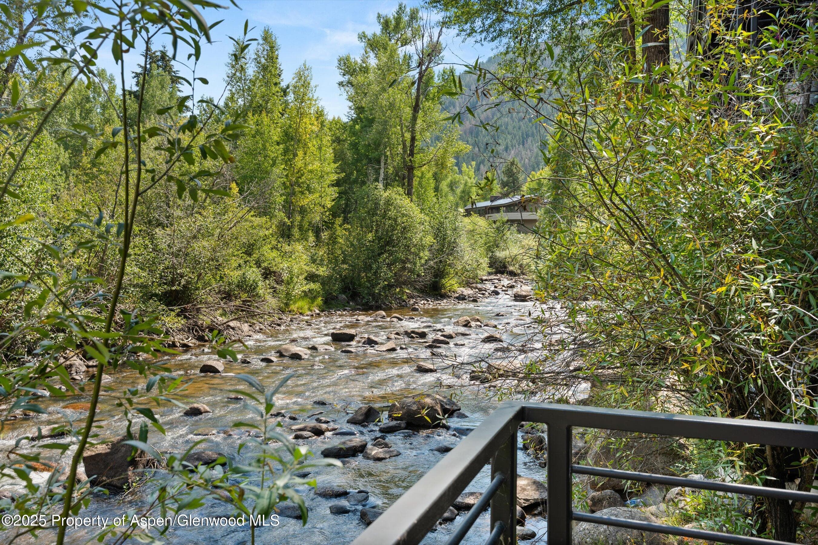 1039 E Cooper Avenue 21a, Aspen, CO 81611 - Photo 30
