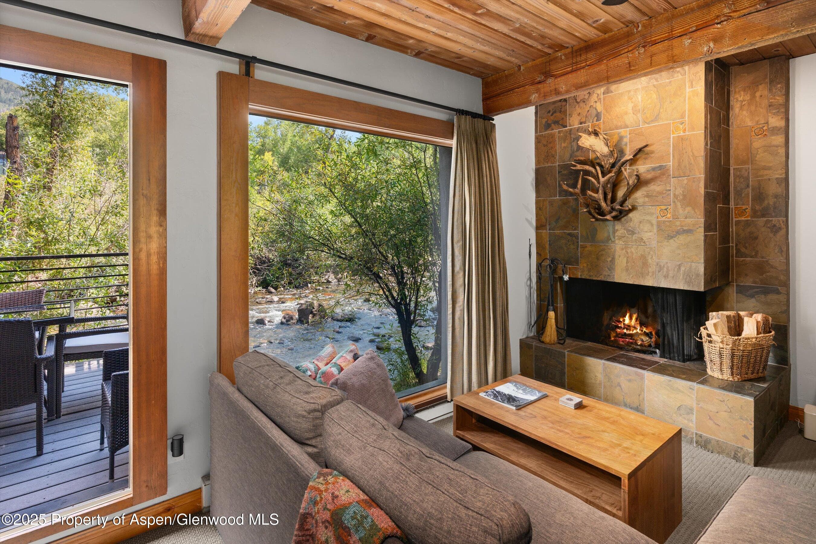 1039 E Cooper Avenue 21a, Aspen, CO 81611 - Photo 4