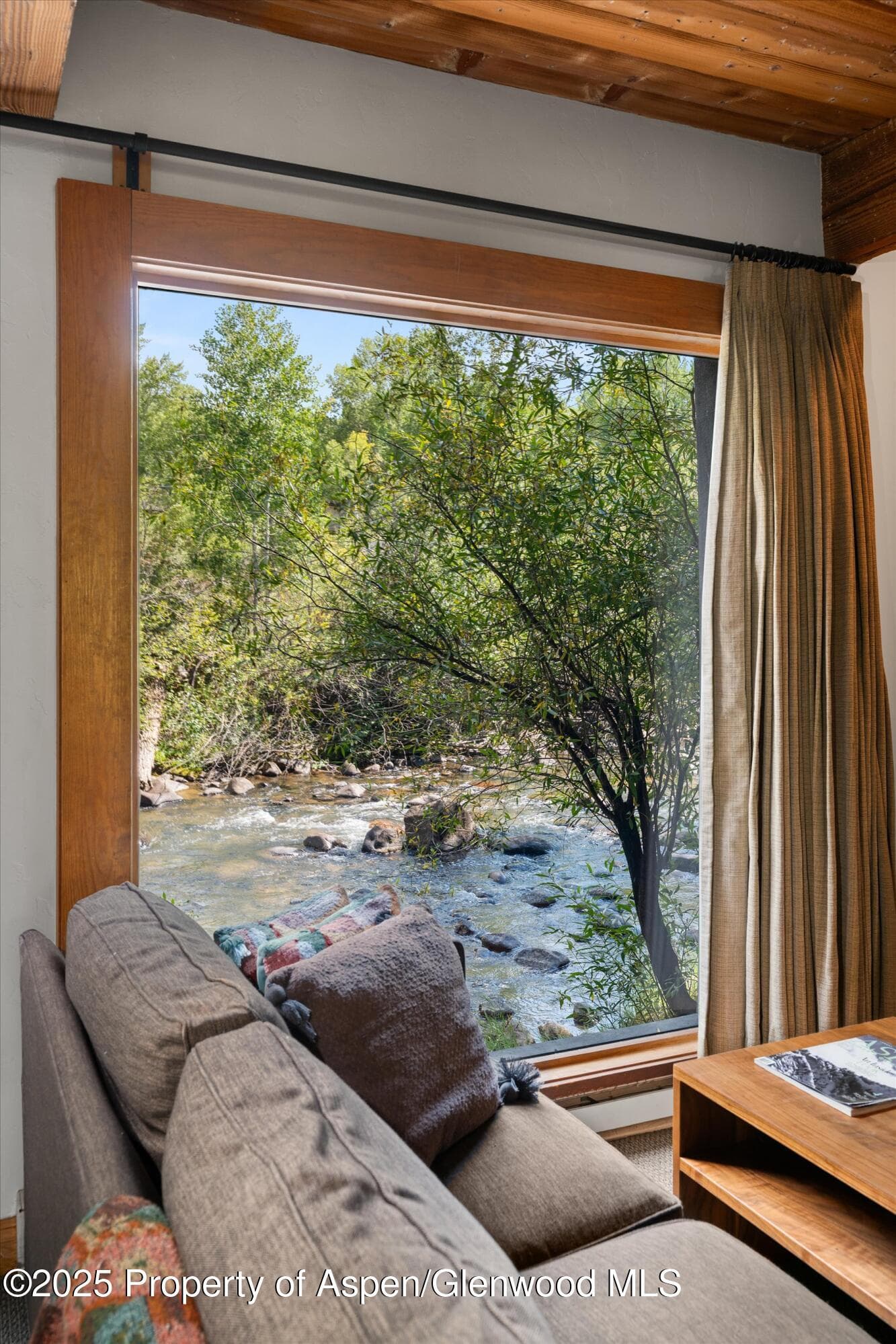 1039 E Cooper Avenue 21a, Aspen, CO 81611 - Photo 7