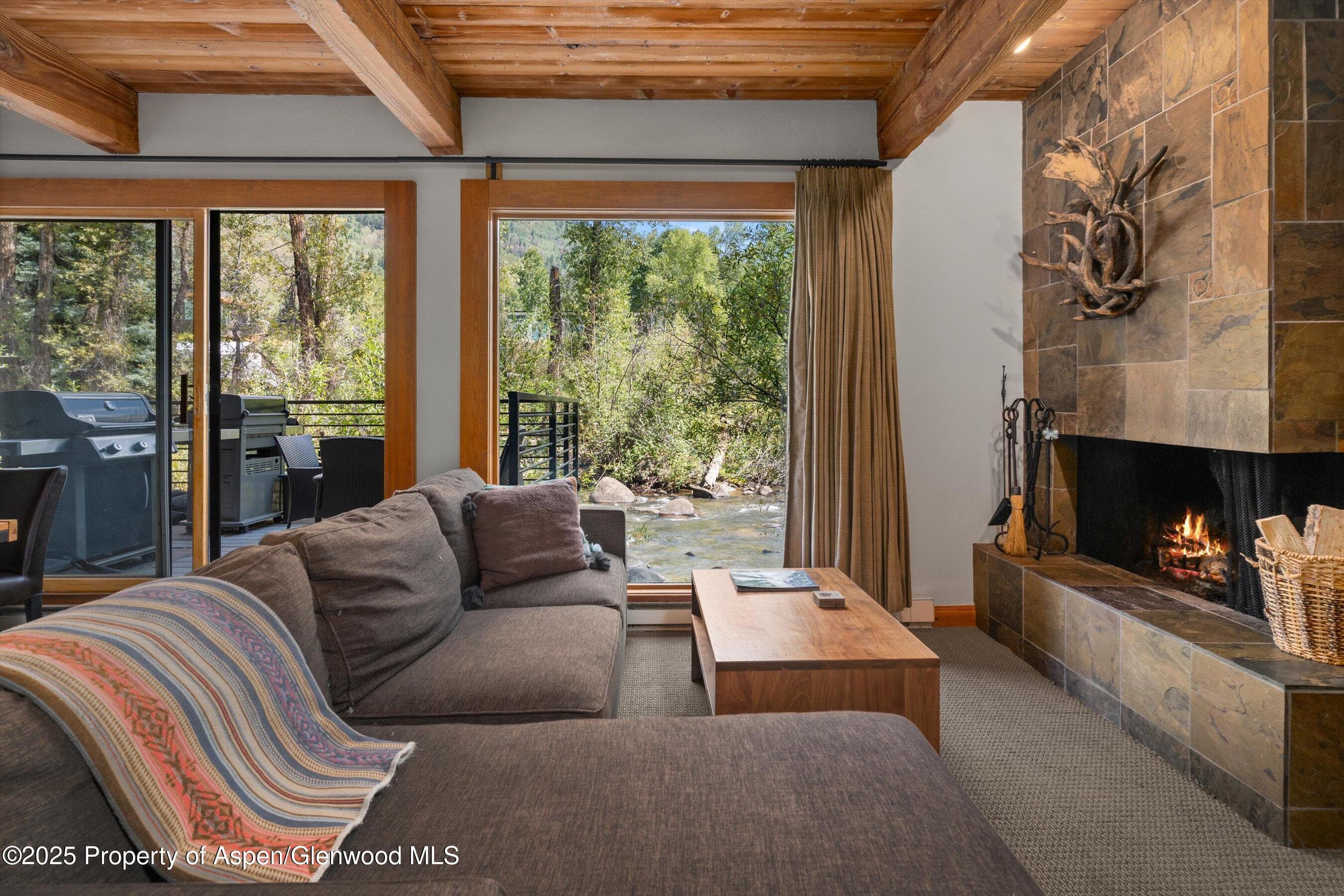 1039 E Cooper Avenue 21a, Aspen, CO 81611 - Photo 3