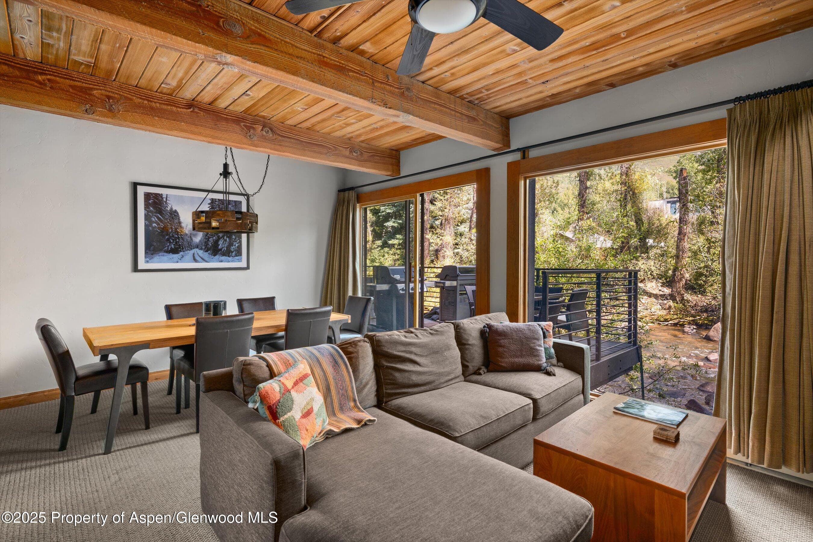 1039 E Cooper Avenue 21a, Aspen, CO 81611 - Photo 6