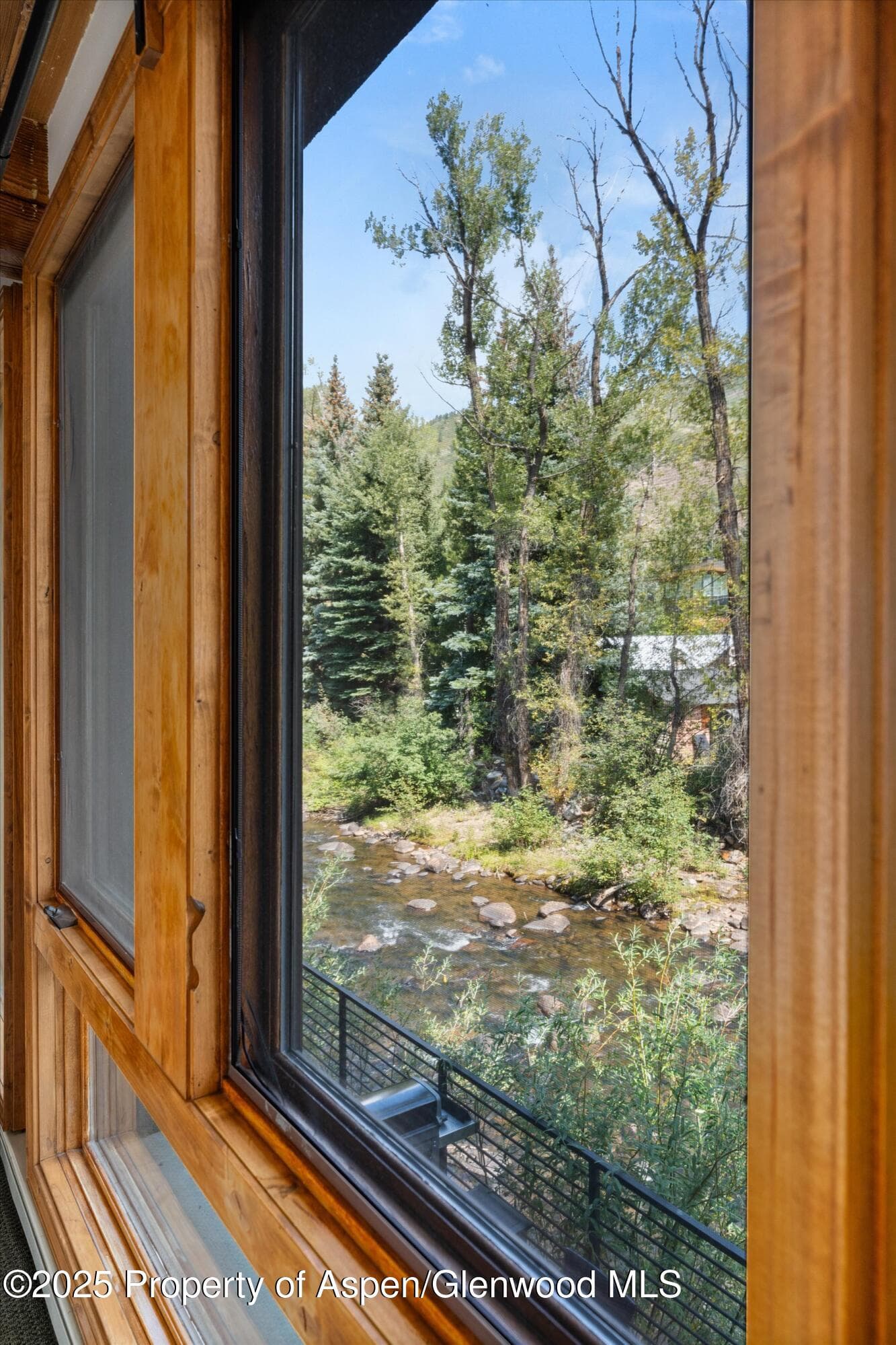1039 E Cooper Avenue 21a, Aspen, CO 81611 - Photo 31