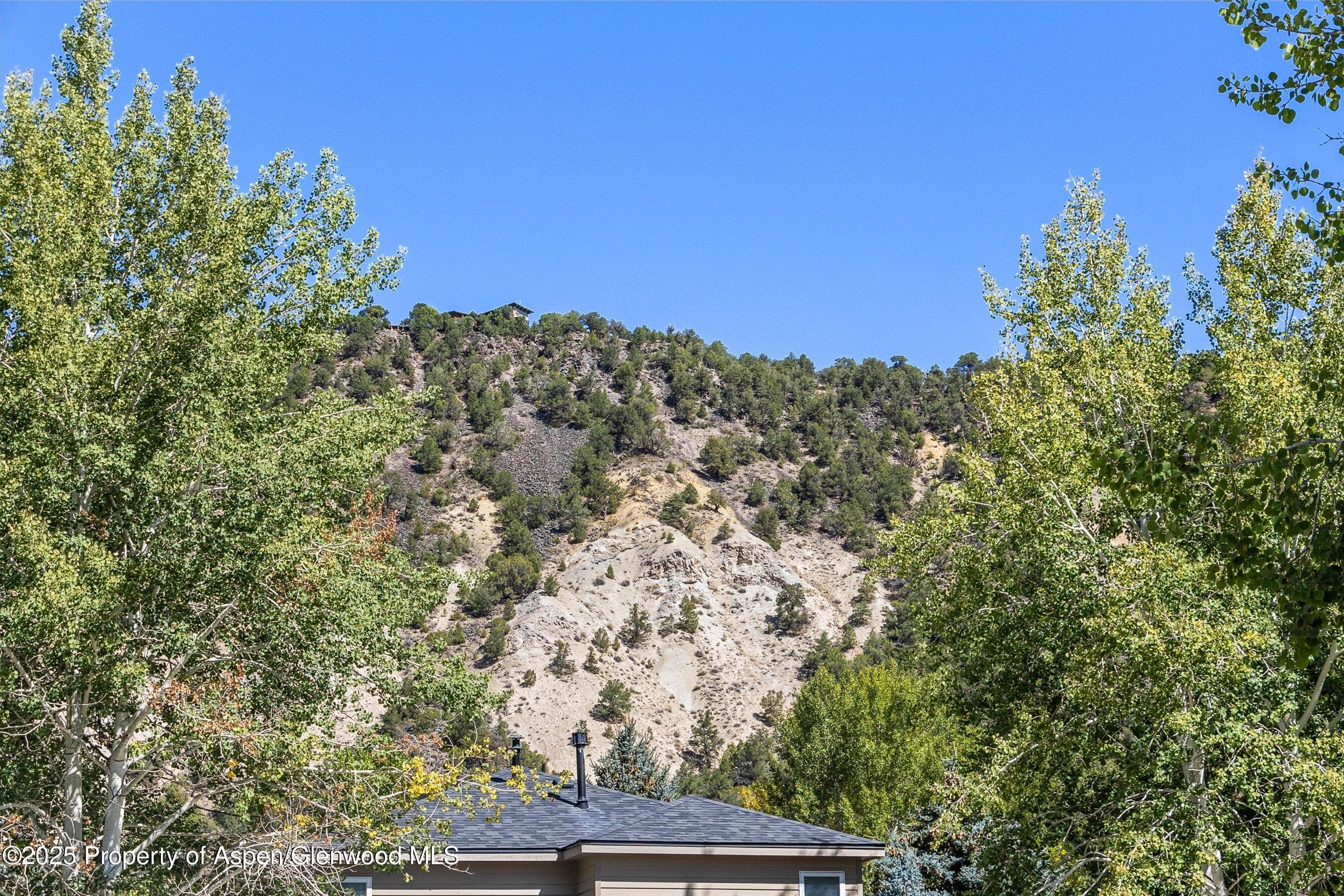 196 Dakota Meadows Drive, Carbondale, CO 81623 - Photo 23