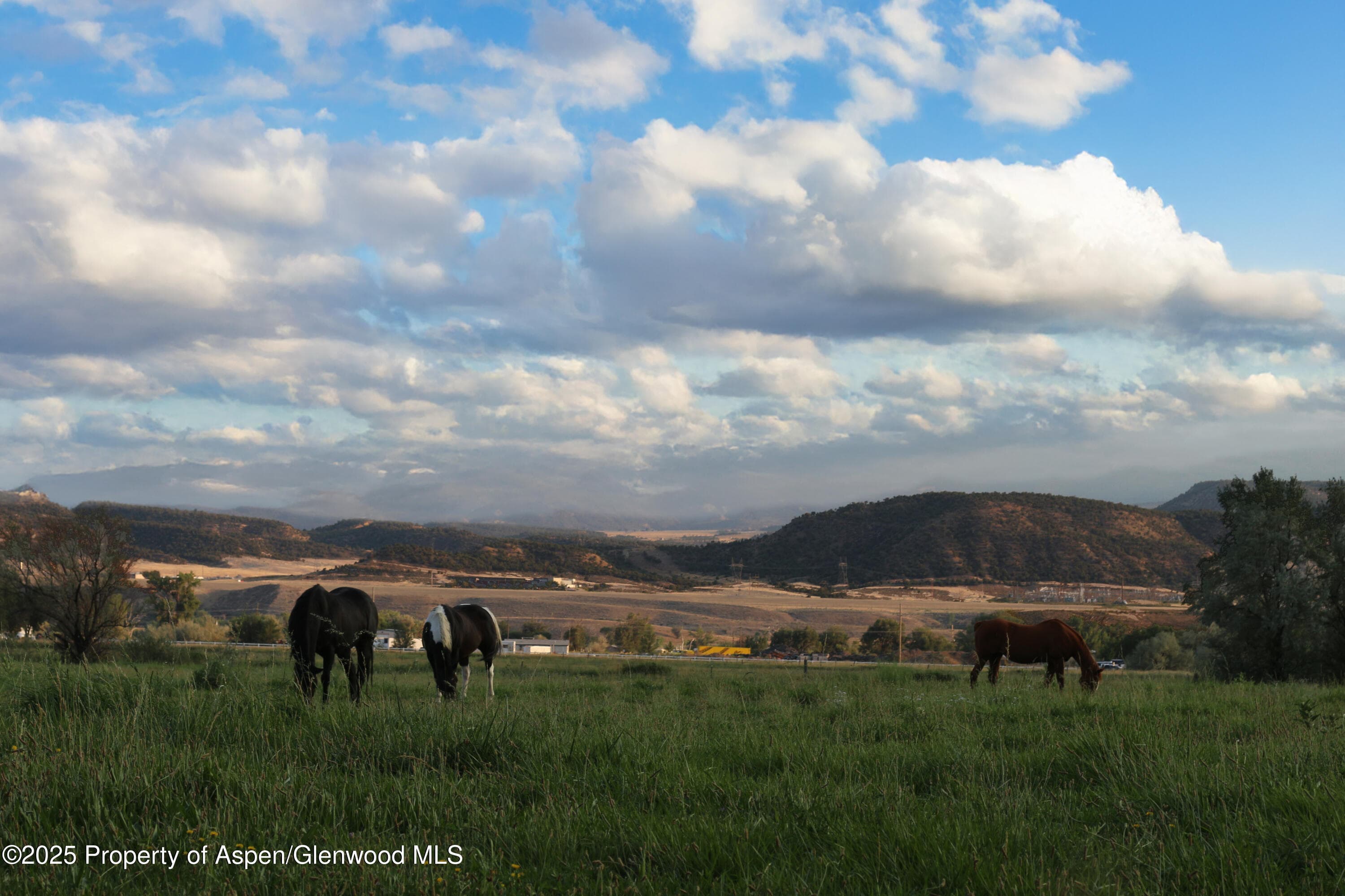 1840 County Road 210, Rifle, CO 81650 - Photo 33
